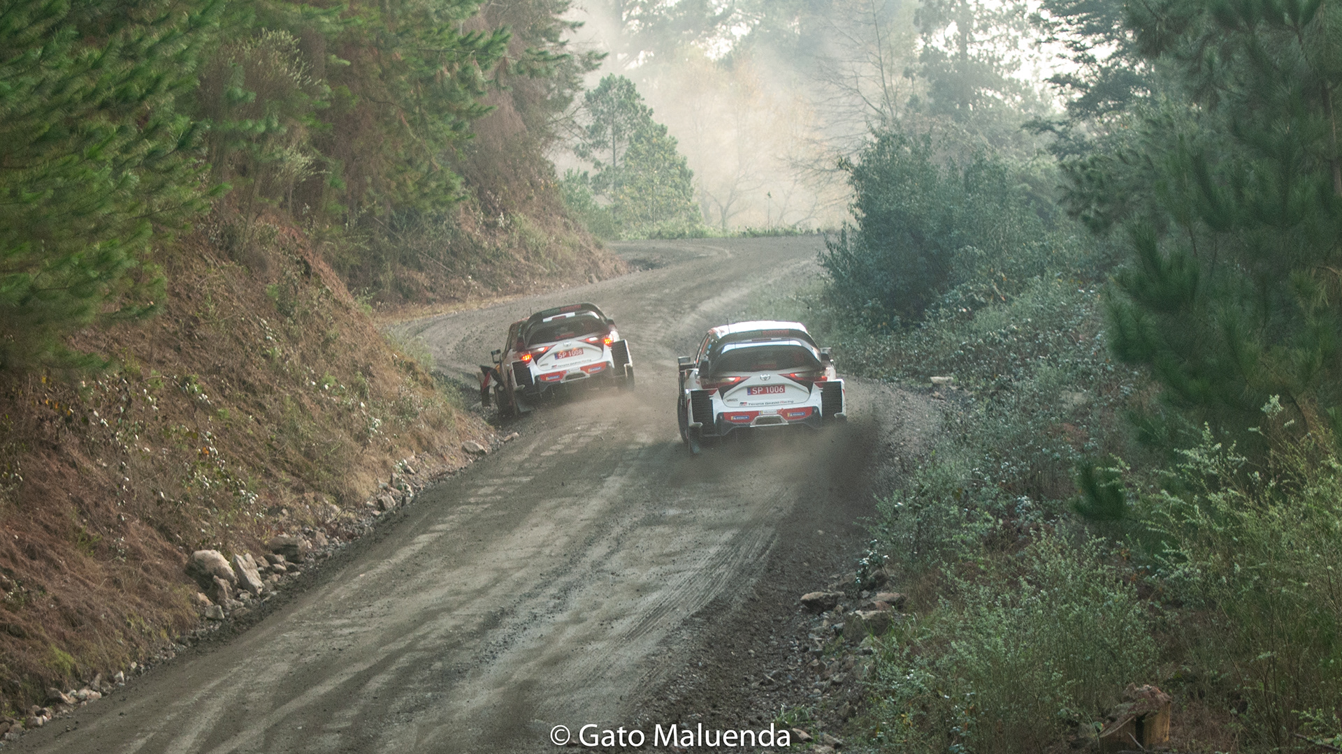 2019 WRC Chile