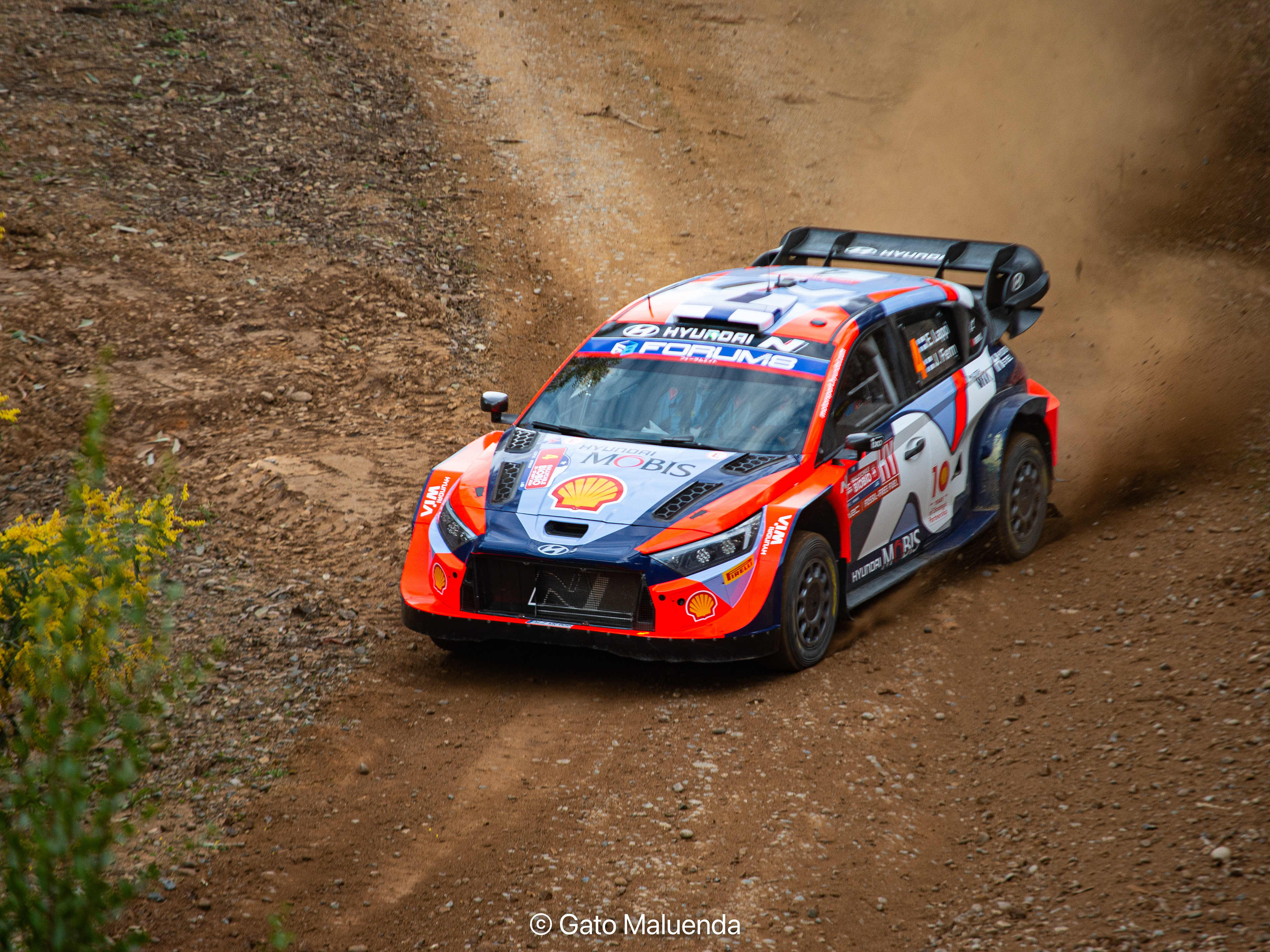 2024 WRC Chile