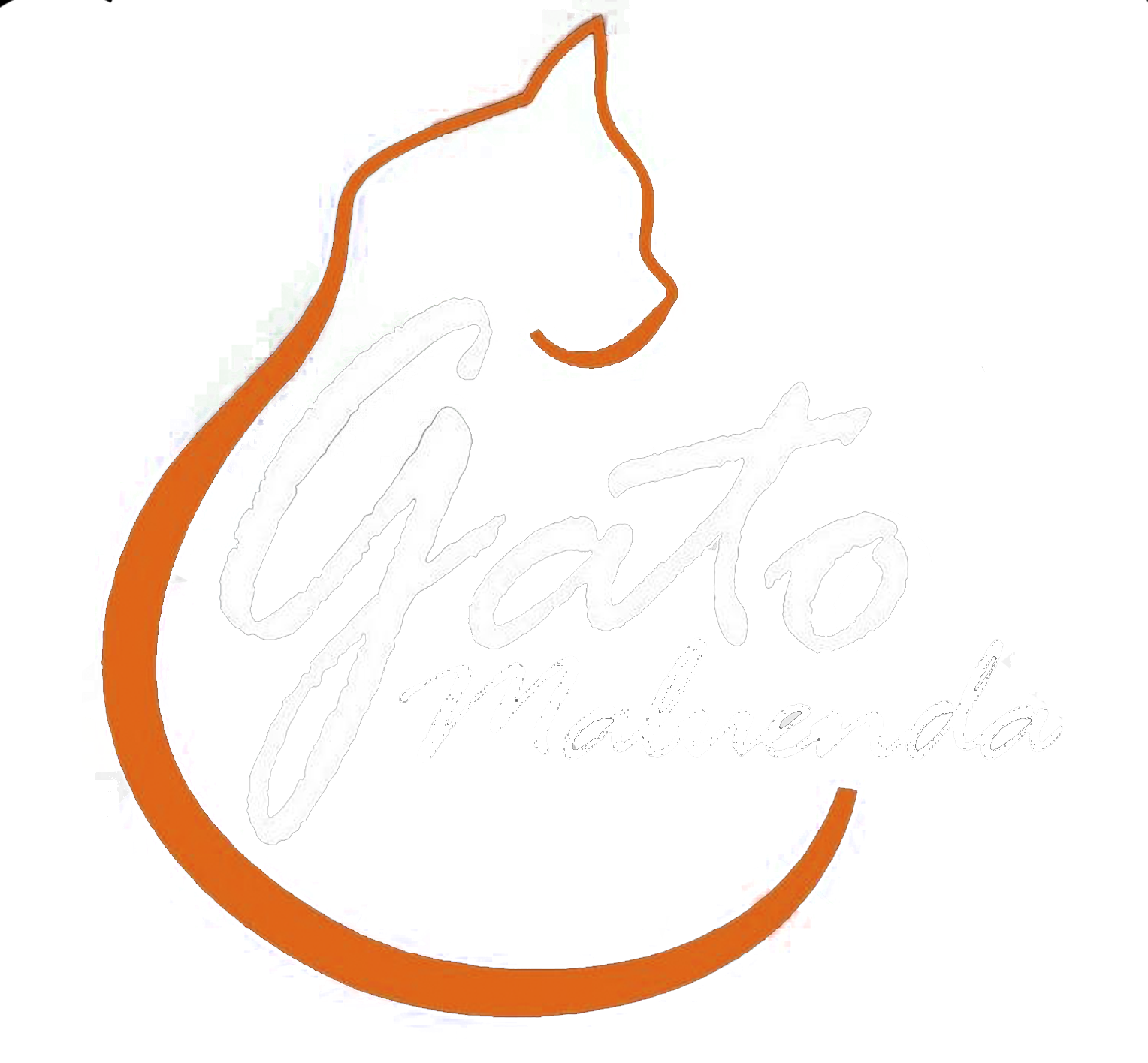 Gato Maluenda