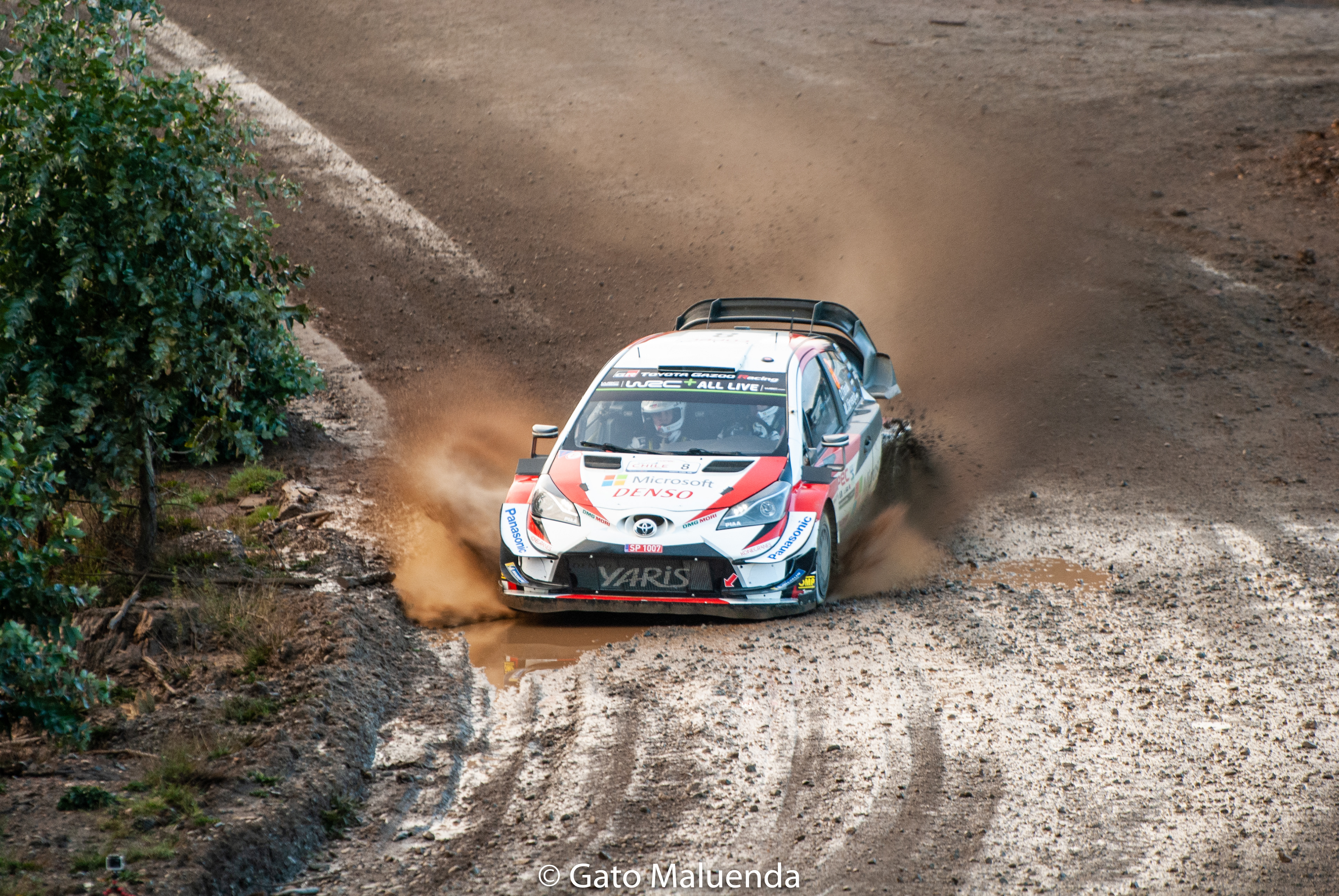 2019 WRC Chile