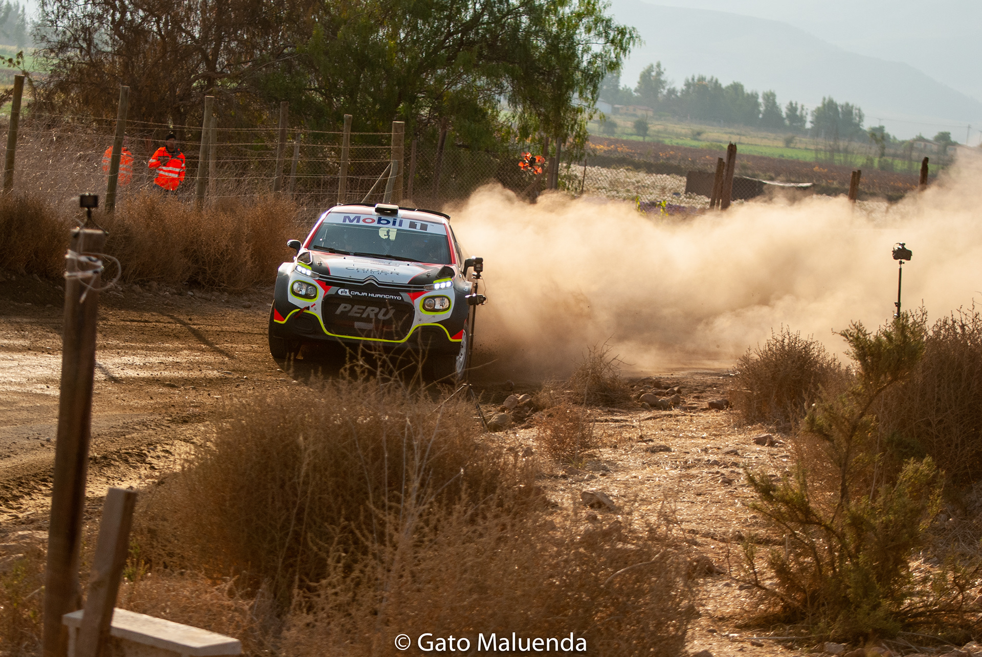 2019 Ovalle
