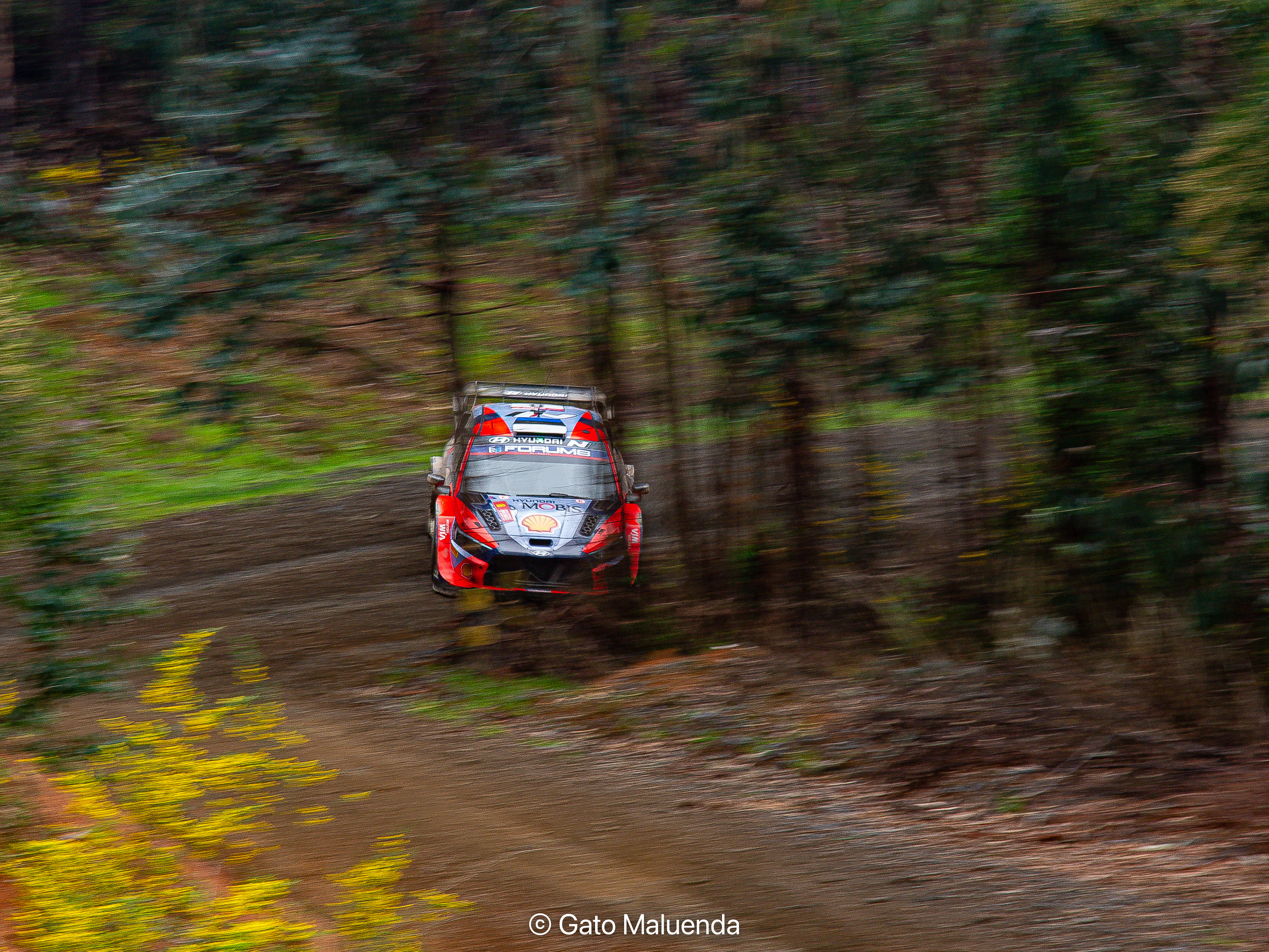 2024 WRC Chile