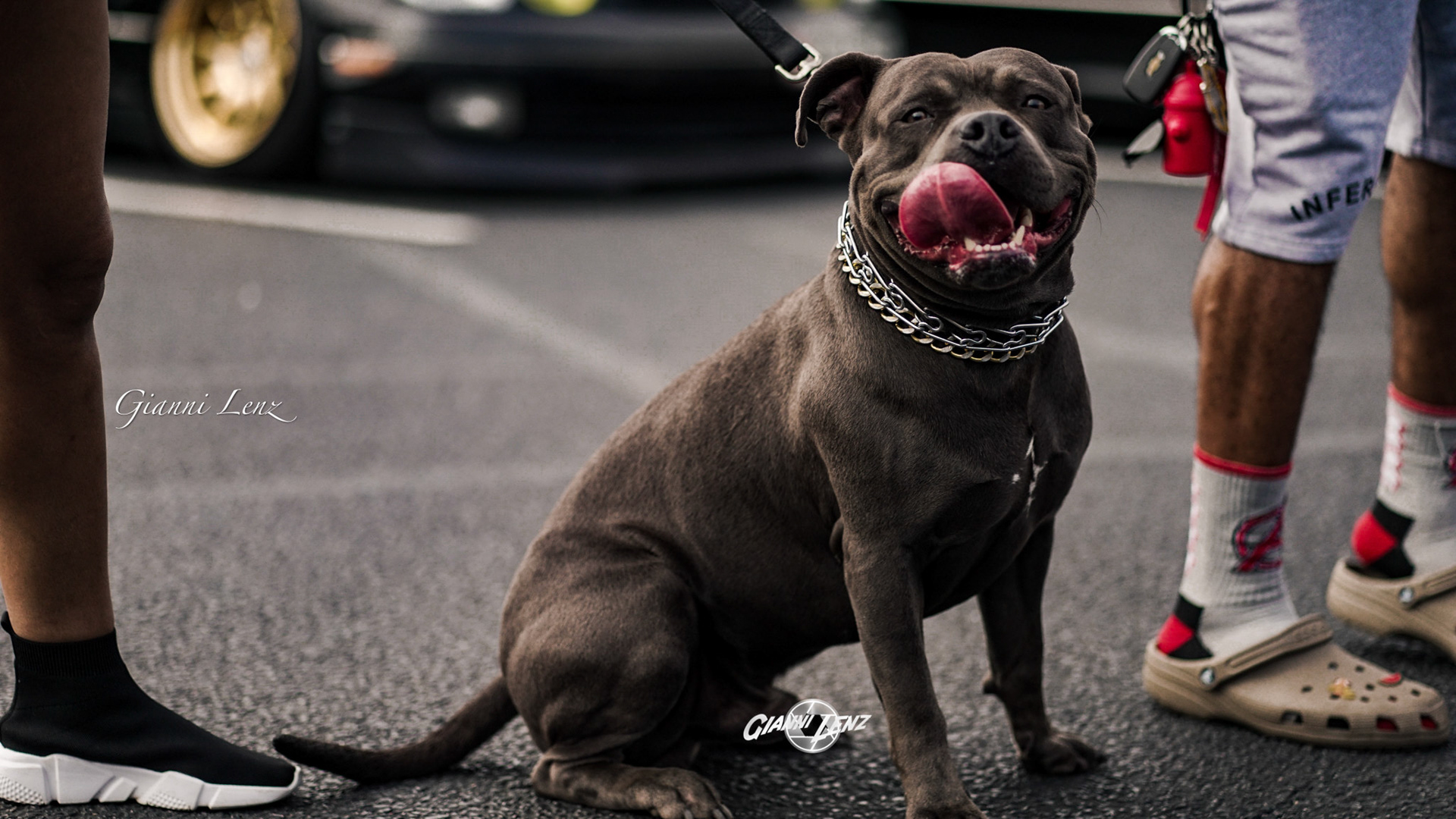 {"source_sid":"43CF148A-D7E7-41F3-A91E-4E5B1A033F9C_1616893687976","subsource":"done_button","uid":"43CF148A-D7E7-41F3-A91E-4E5B1A033F9C_1616893687732","source":"other","origin":"gallery"}