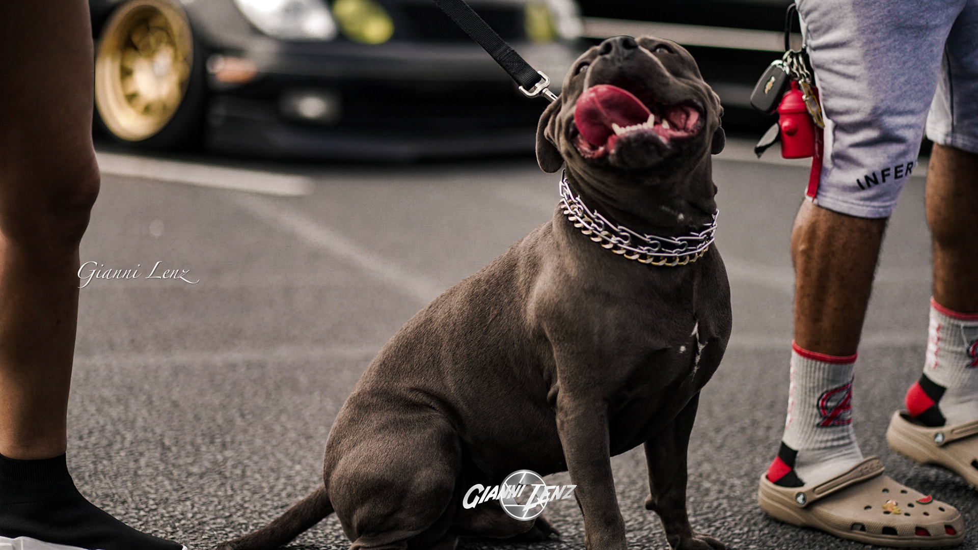 {"source_sid":"43CF148A-D7E7-41F3-A91E-4E5B1A033F9C_1616893735951","subsource":"done_button","uid":"43CF148A-D7E7-41F3-A91E-4E5B1A033F9C_1616893735764","source":"other","origin":"gallery"}