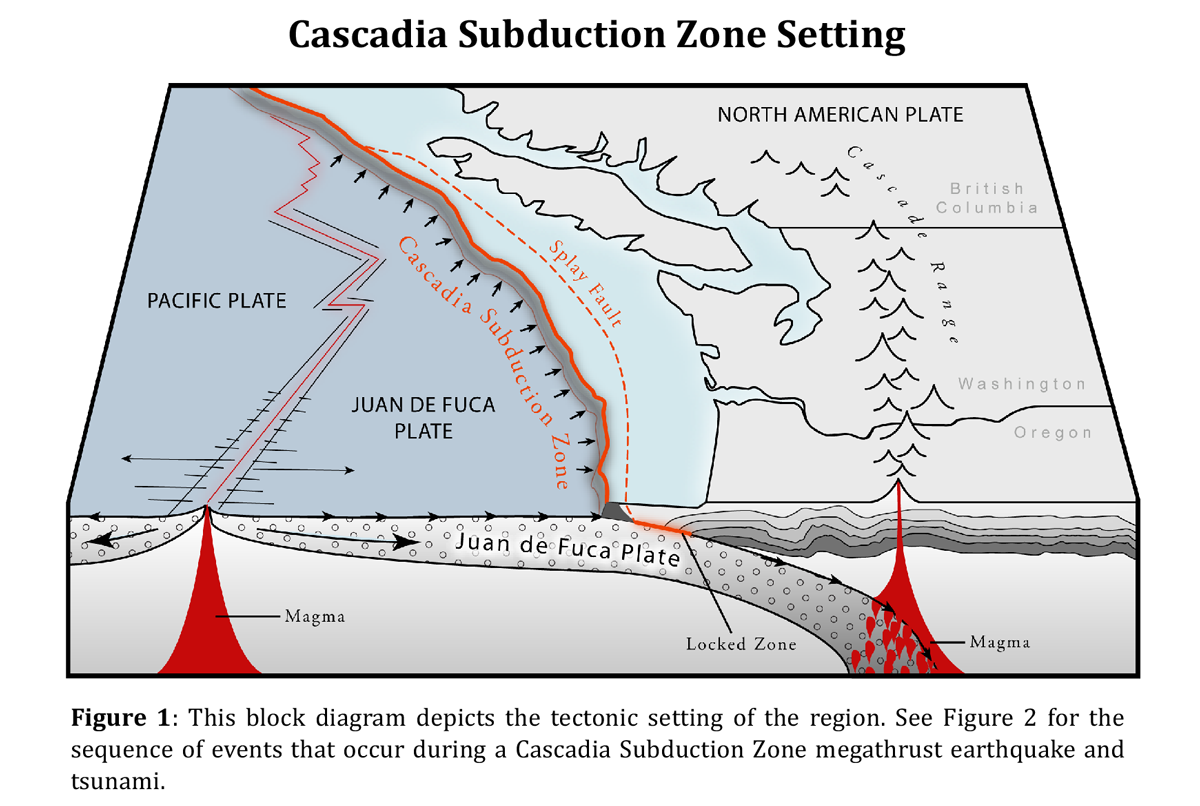 cascadia subduction zone