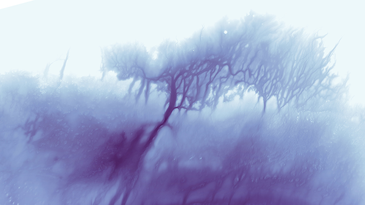 156 Bonneville Salt Flats Mineralized