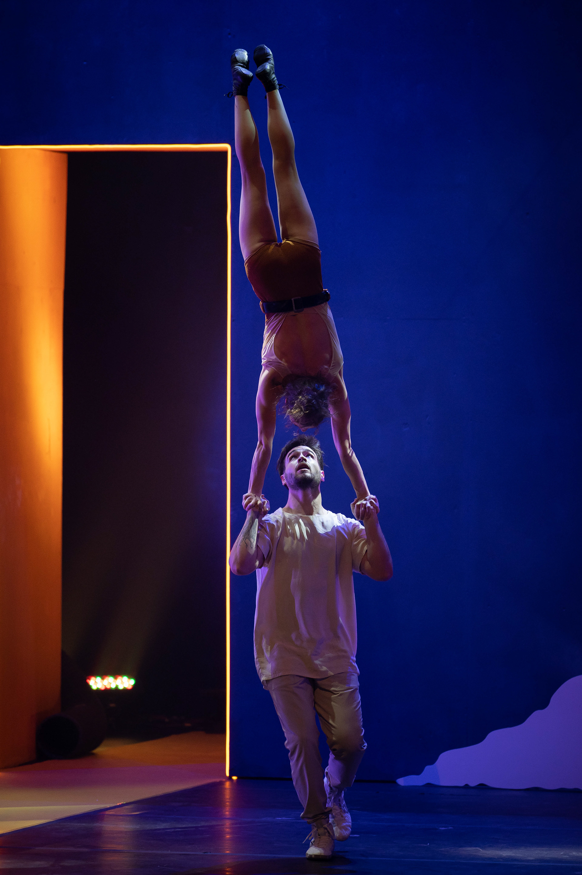 Zephyr, Palais Montcalm, 2022