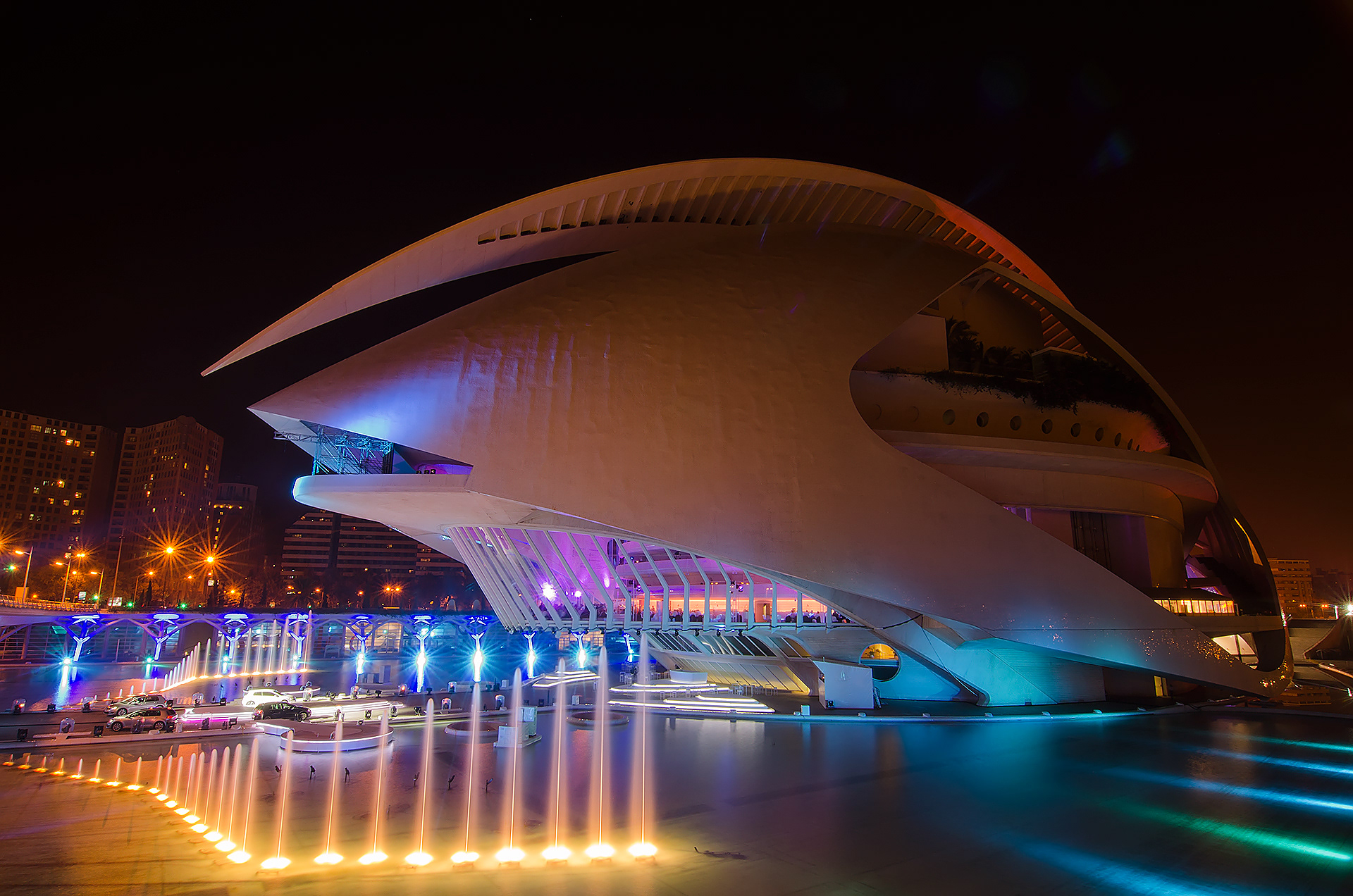 PALACIO DE LAS ARTES REINA SOFÍA