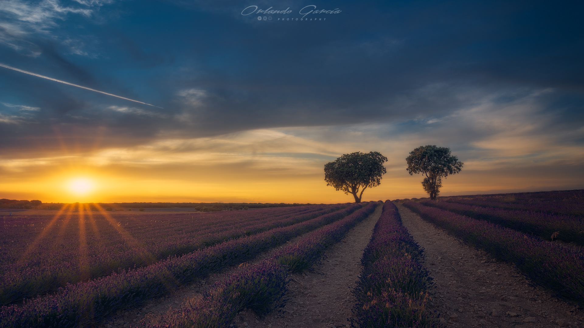 PUESTA DE SOL BRIHUEGA