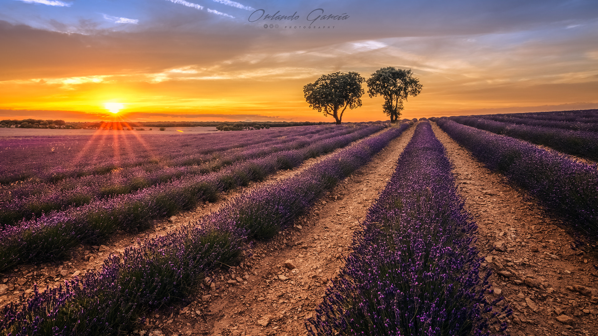 PUESTA DE SOL BRIHUEGA 2