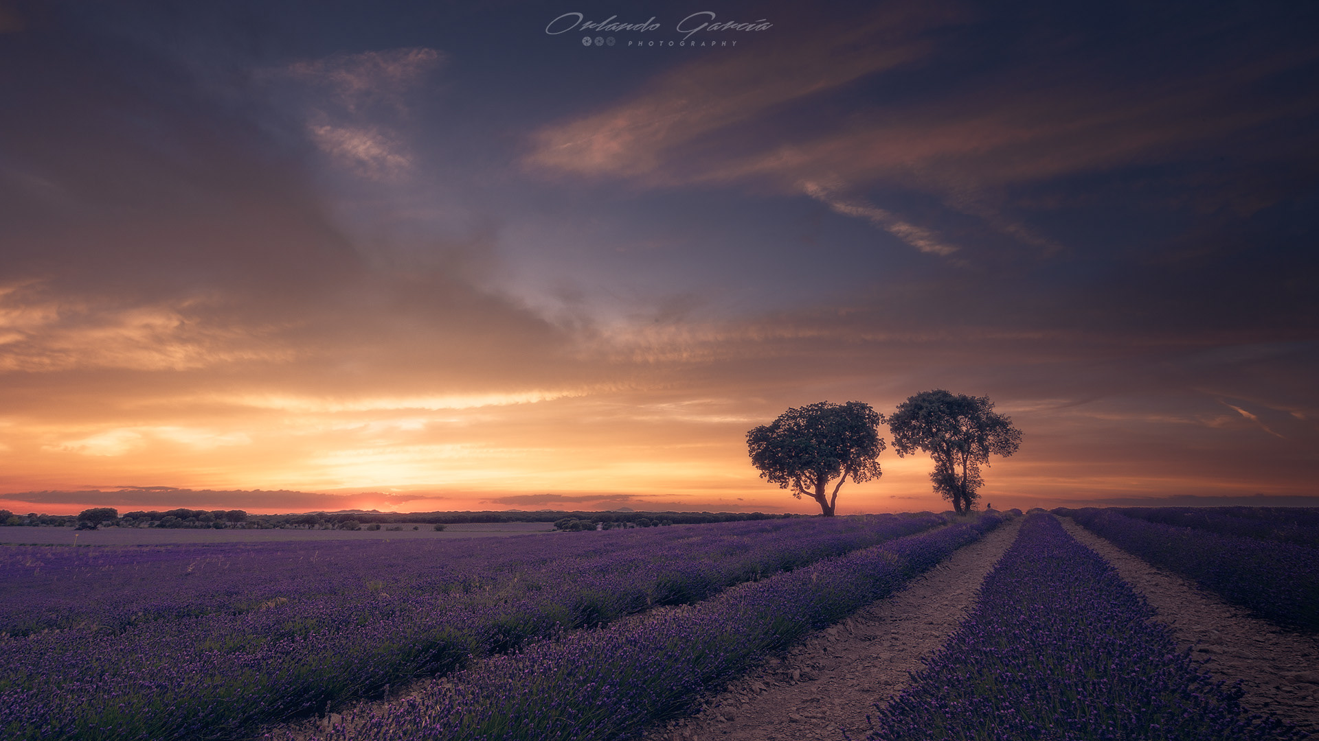 PUESTA DE SOL BRIHUEGA 3