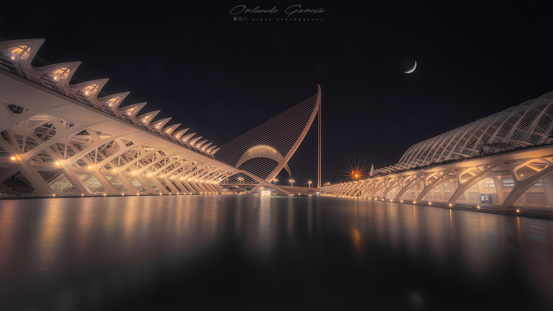 ALONE UNDER THE MOON
