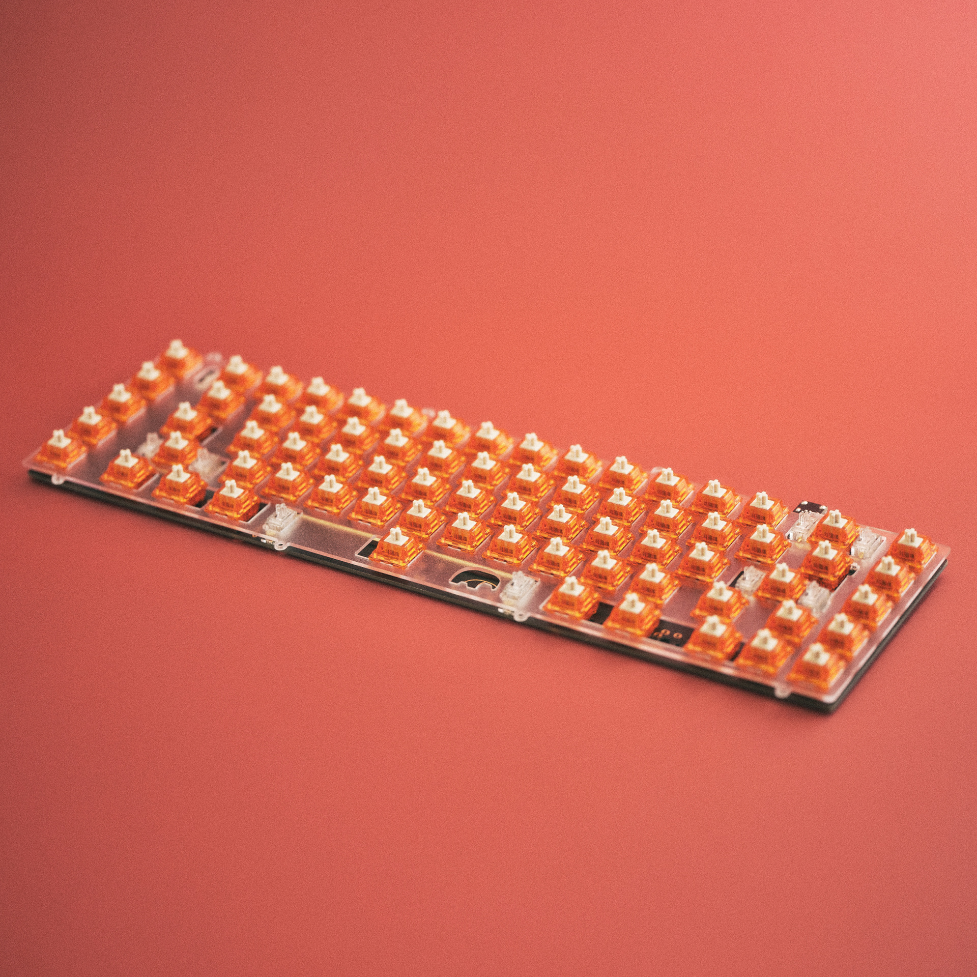 Creamsicles