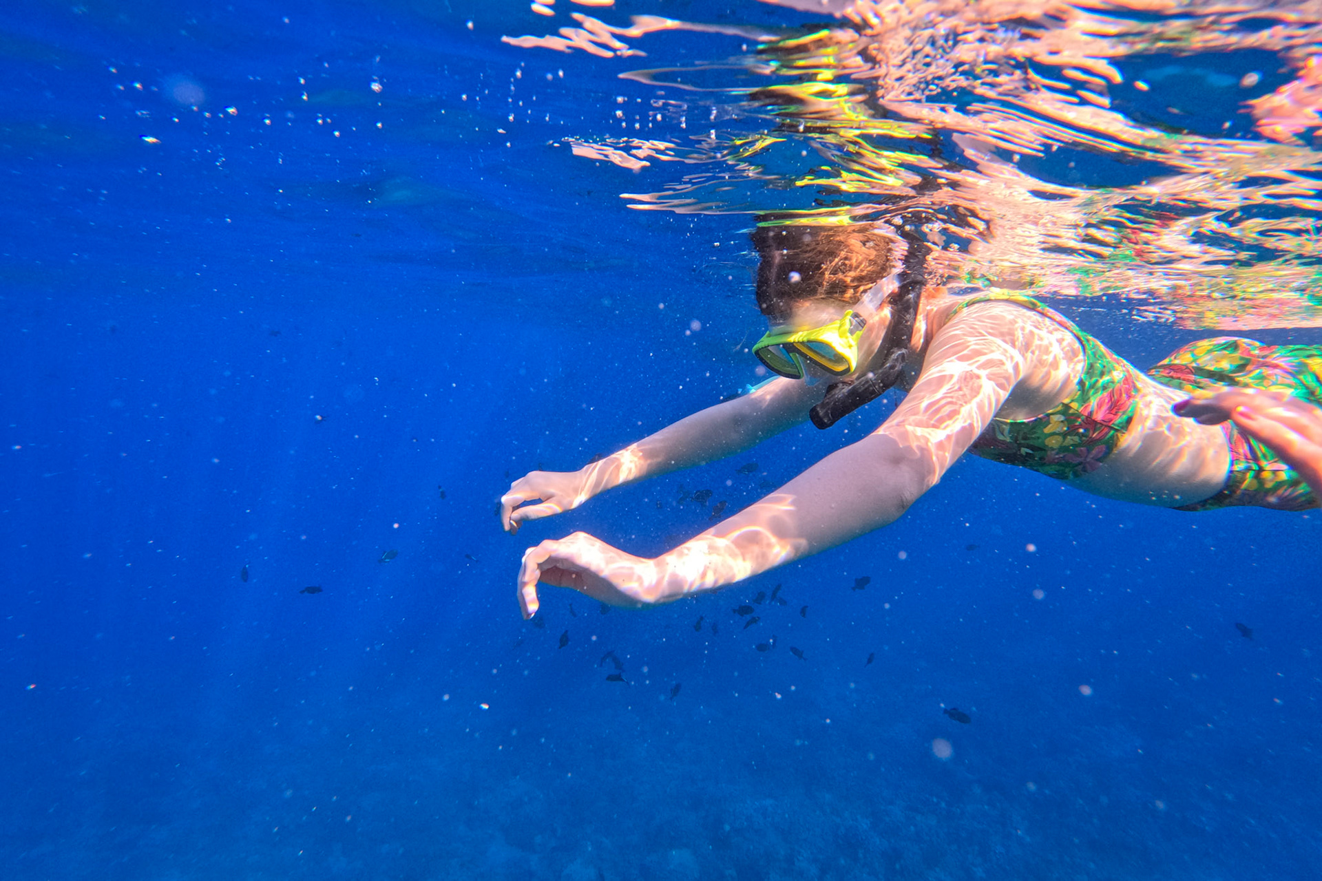 Molokini Crater snorkeling