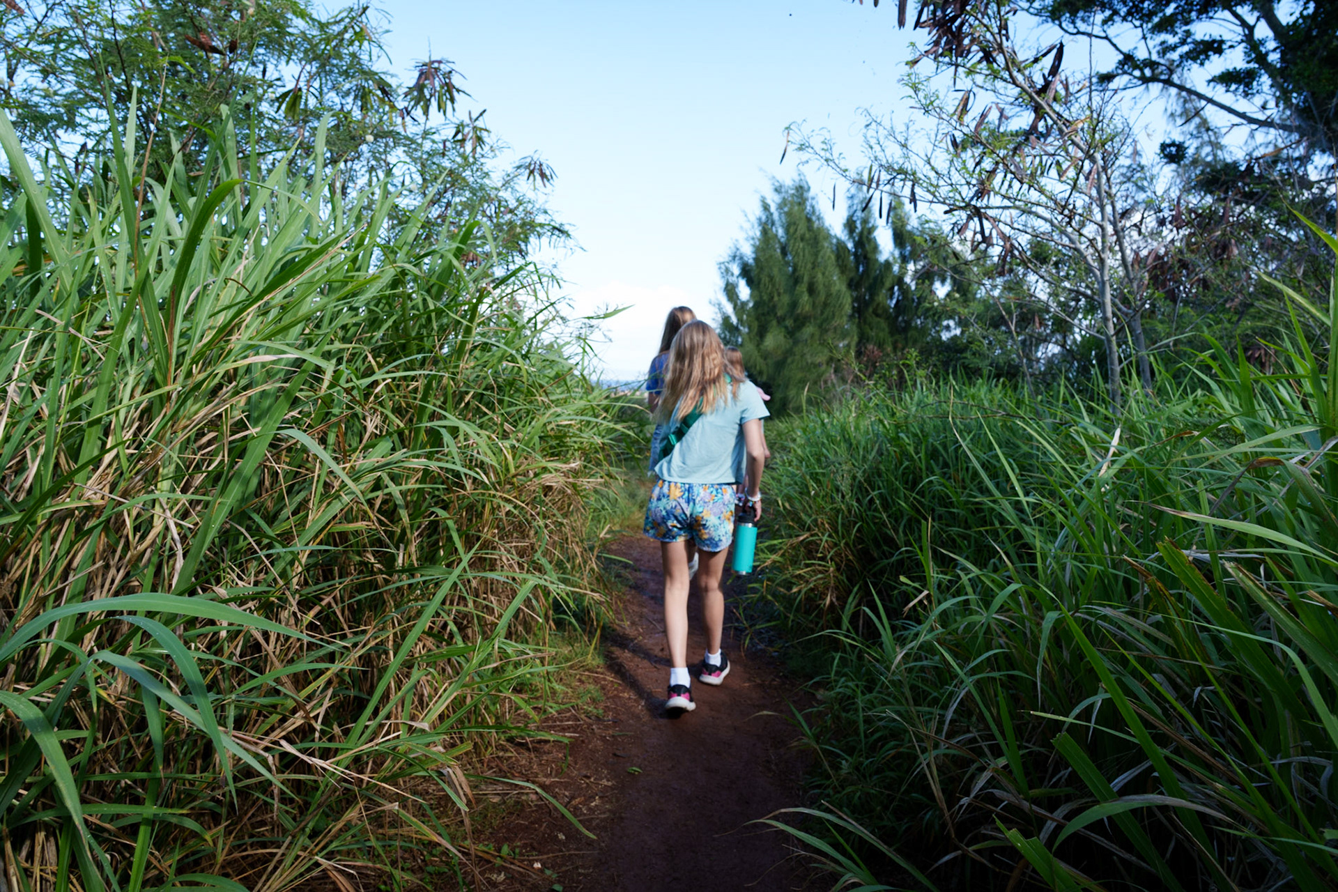 Dragon’s Teeth - Maui, HI