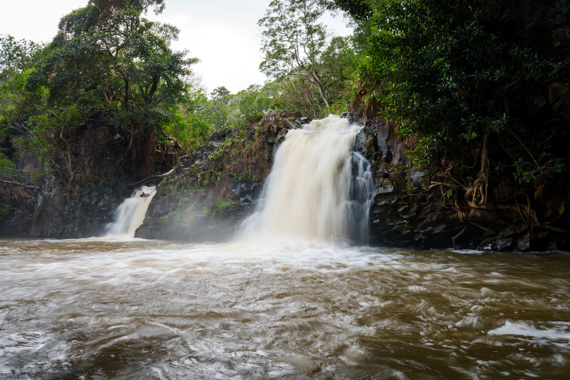 Sadly there was too much rain this week for us to swim or reach the upper falls.
