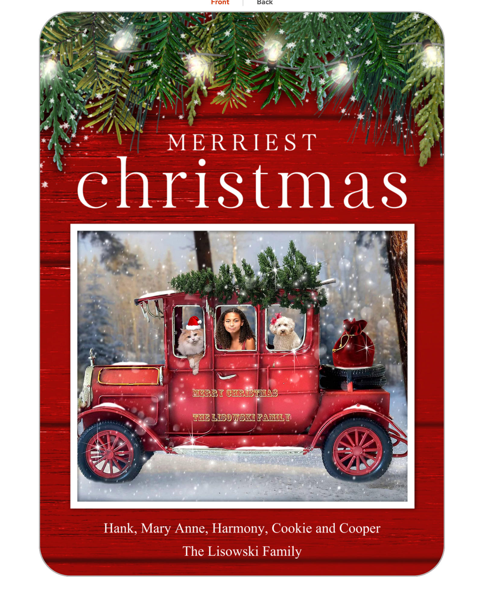 Christmas Greetings Card