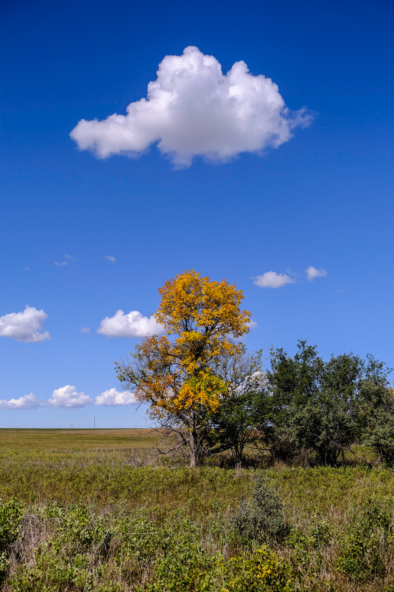 Knife River National Historic Site