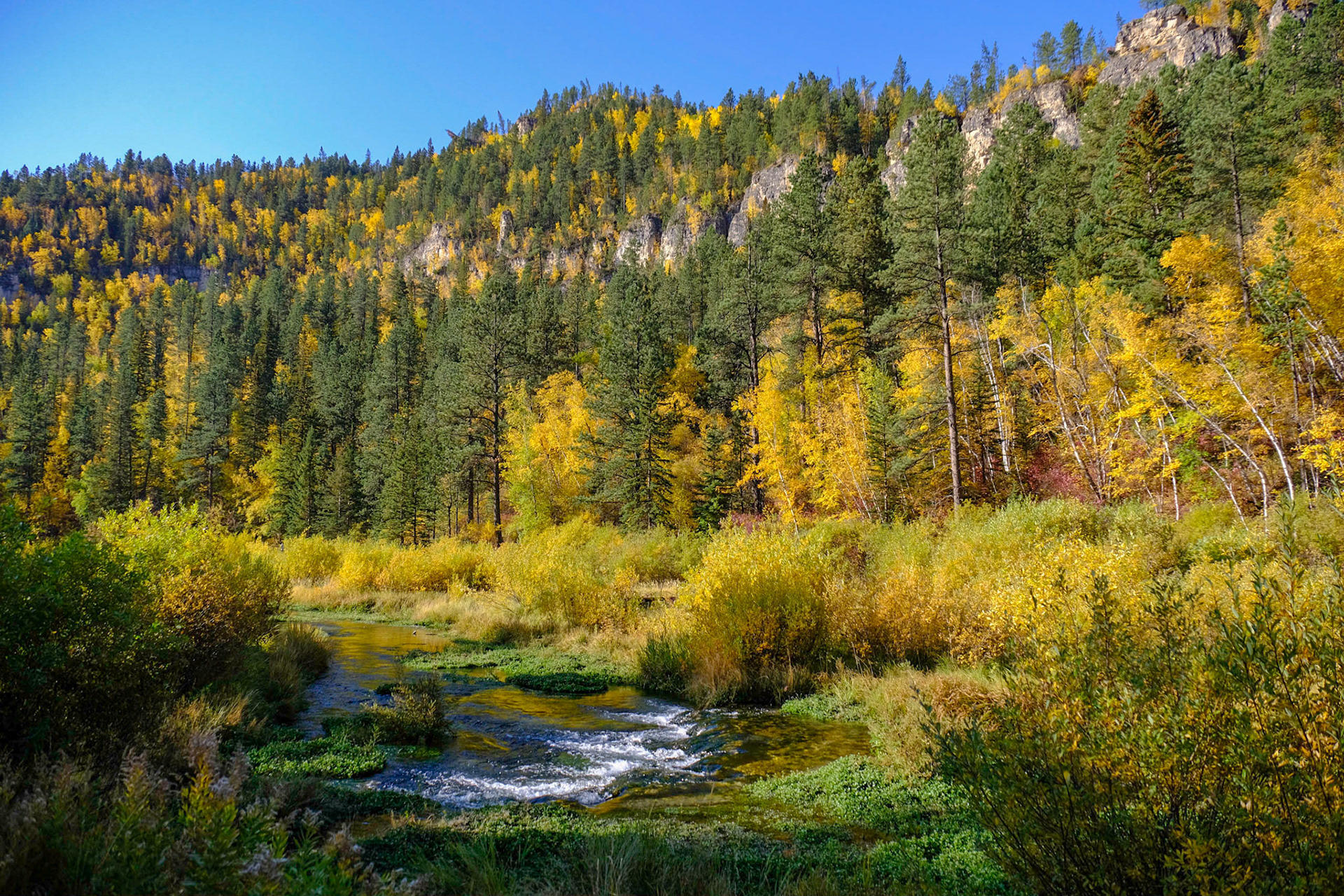 Spearfish Creek