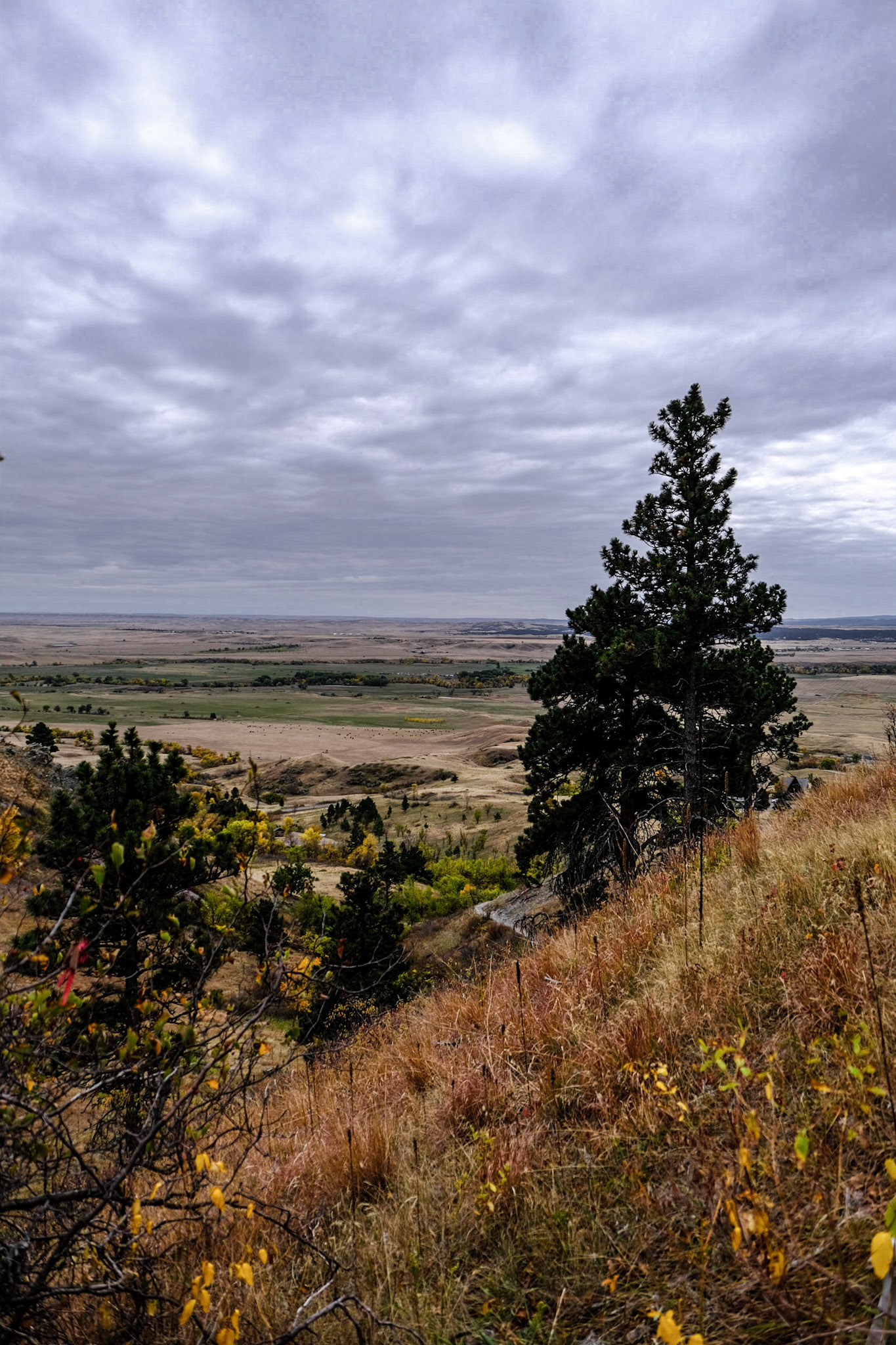 Bear Butte State Park South Dakota