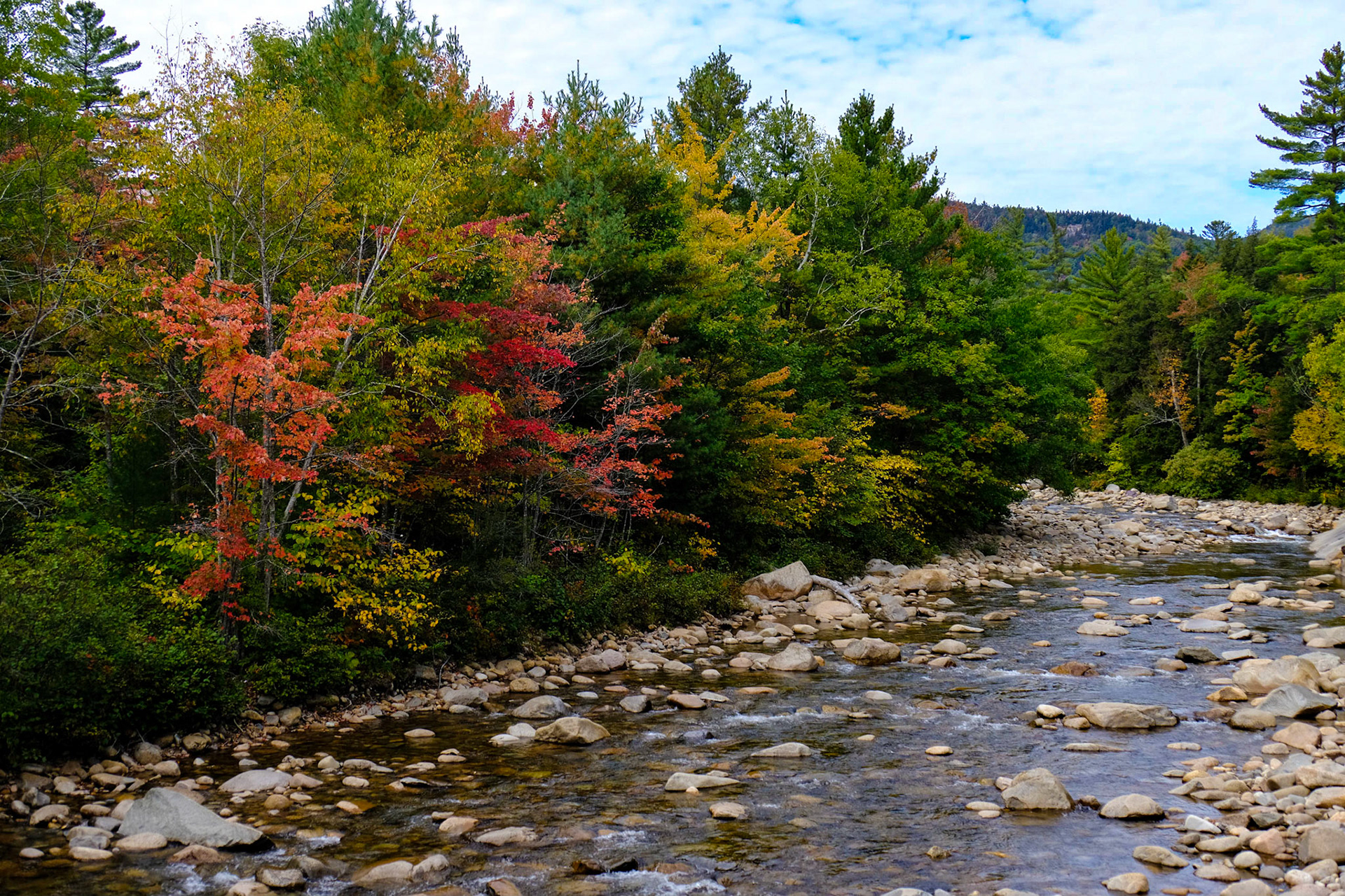 Albany Covered Bridge