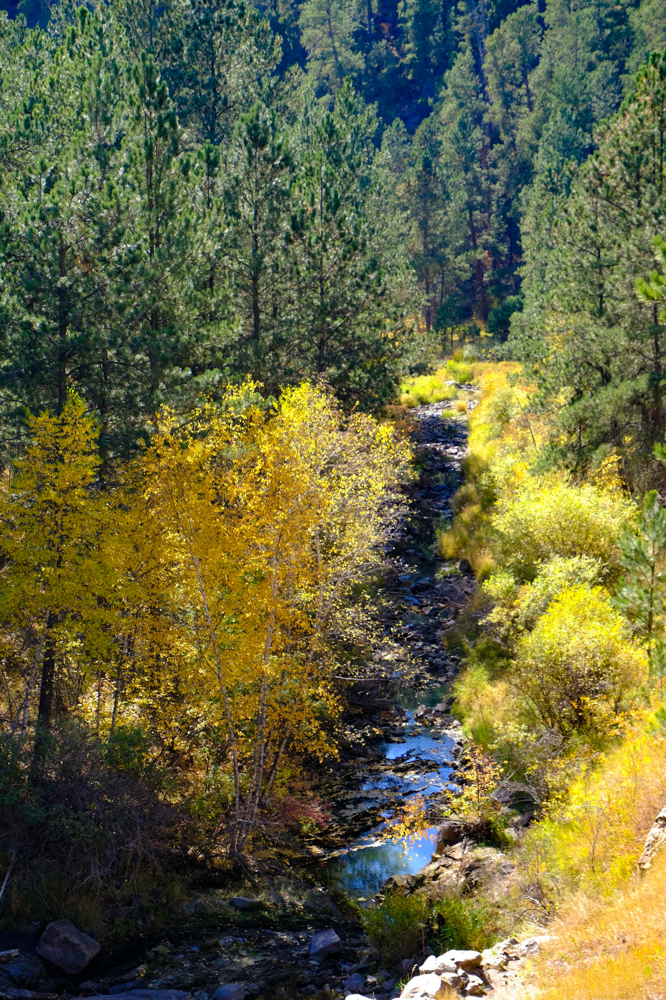 Custer State Park Stockade Lake Road