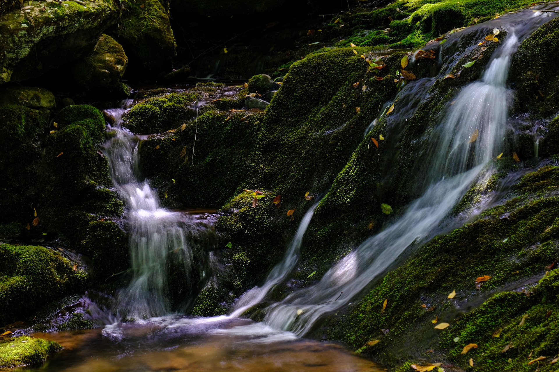 Dark Hollow Falls