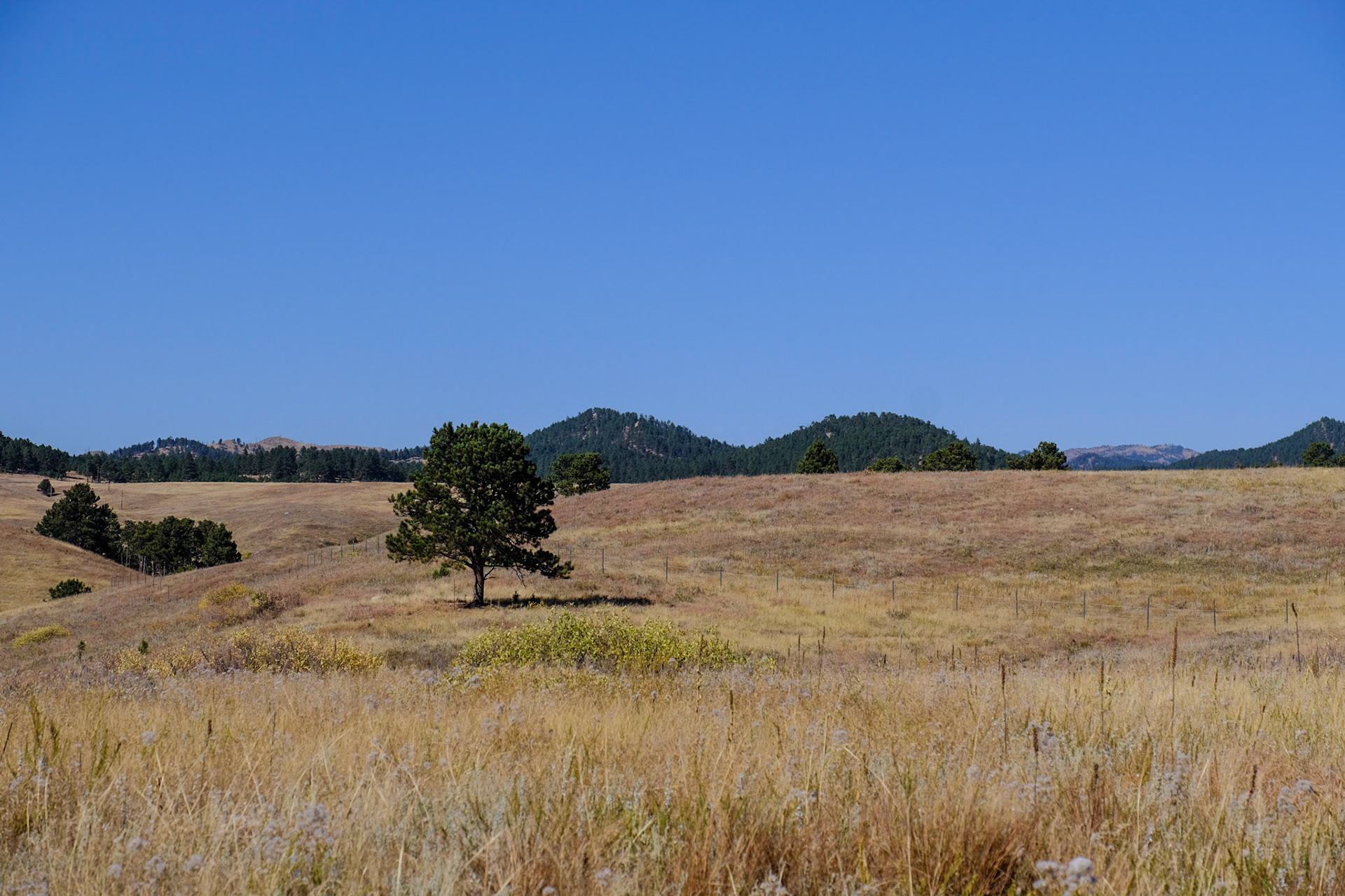 Wind Cave National Park