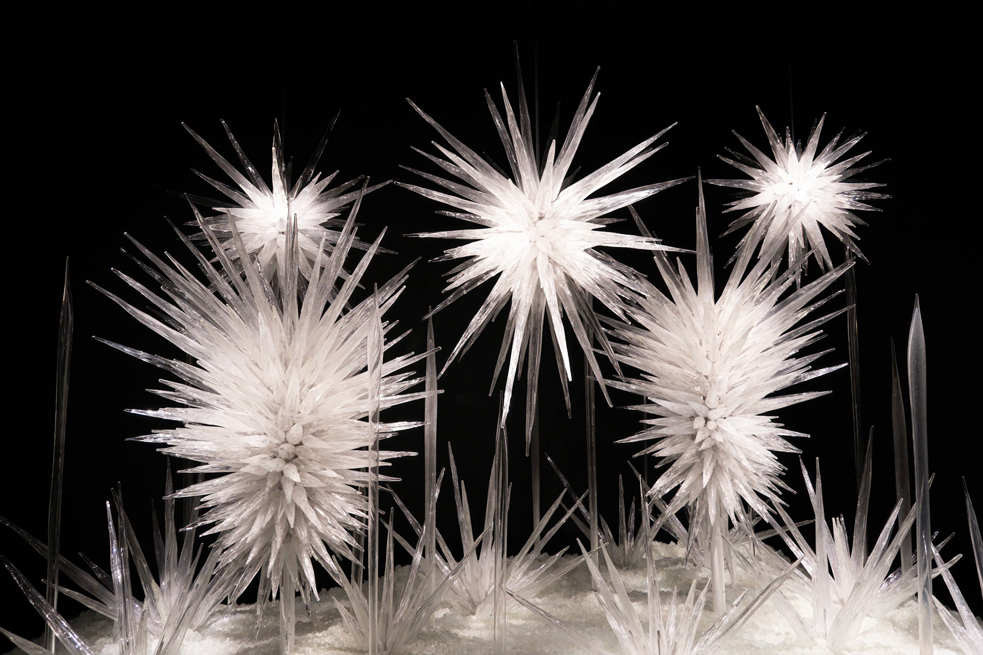 Chihuly Gardens