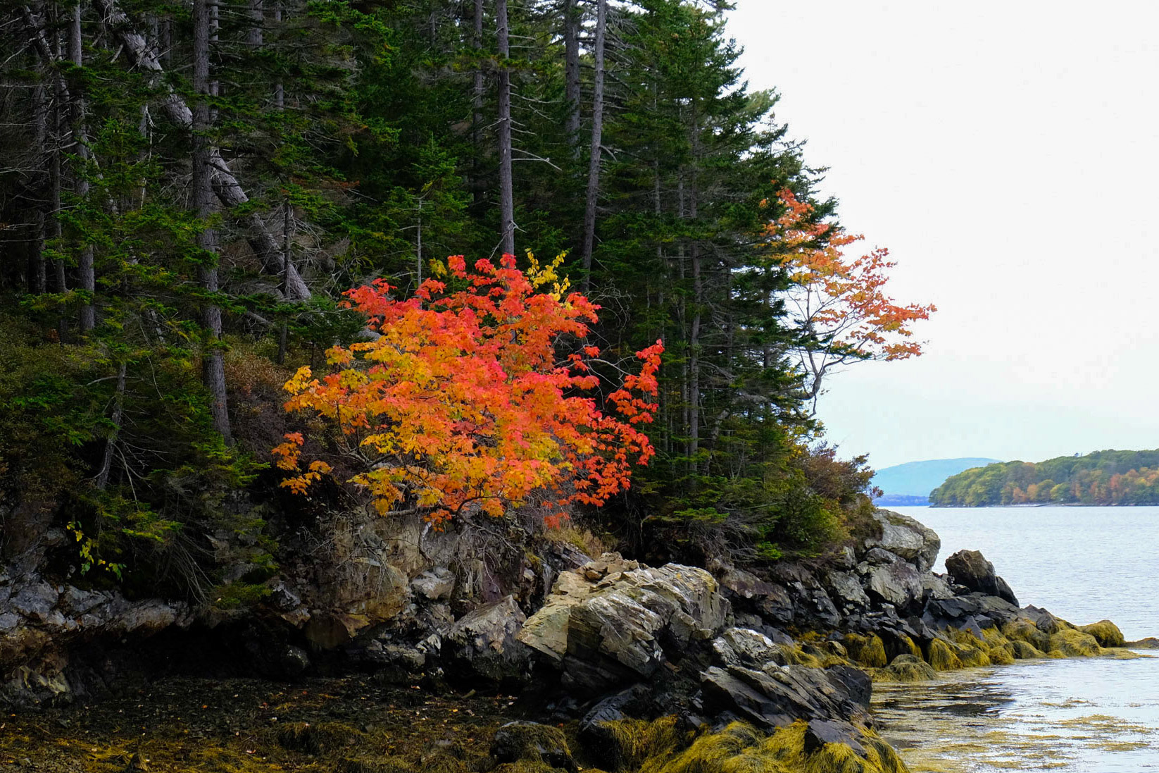 Holbrook Island Sanctuary