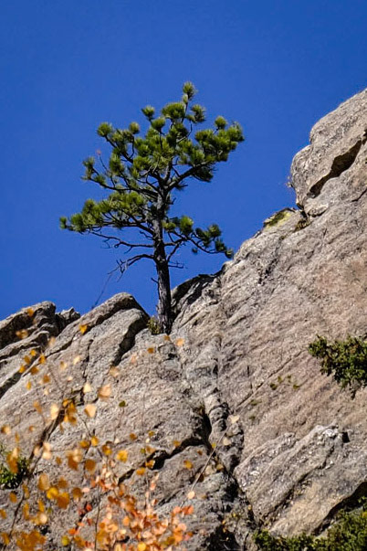 Hike to Black Elk Peak