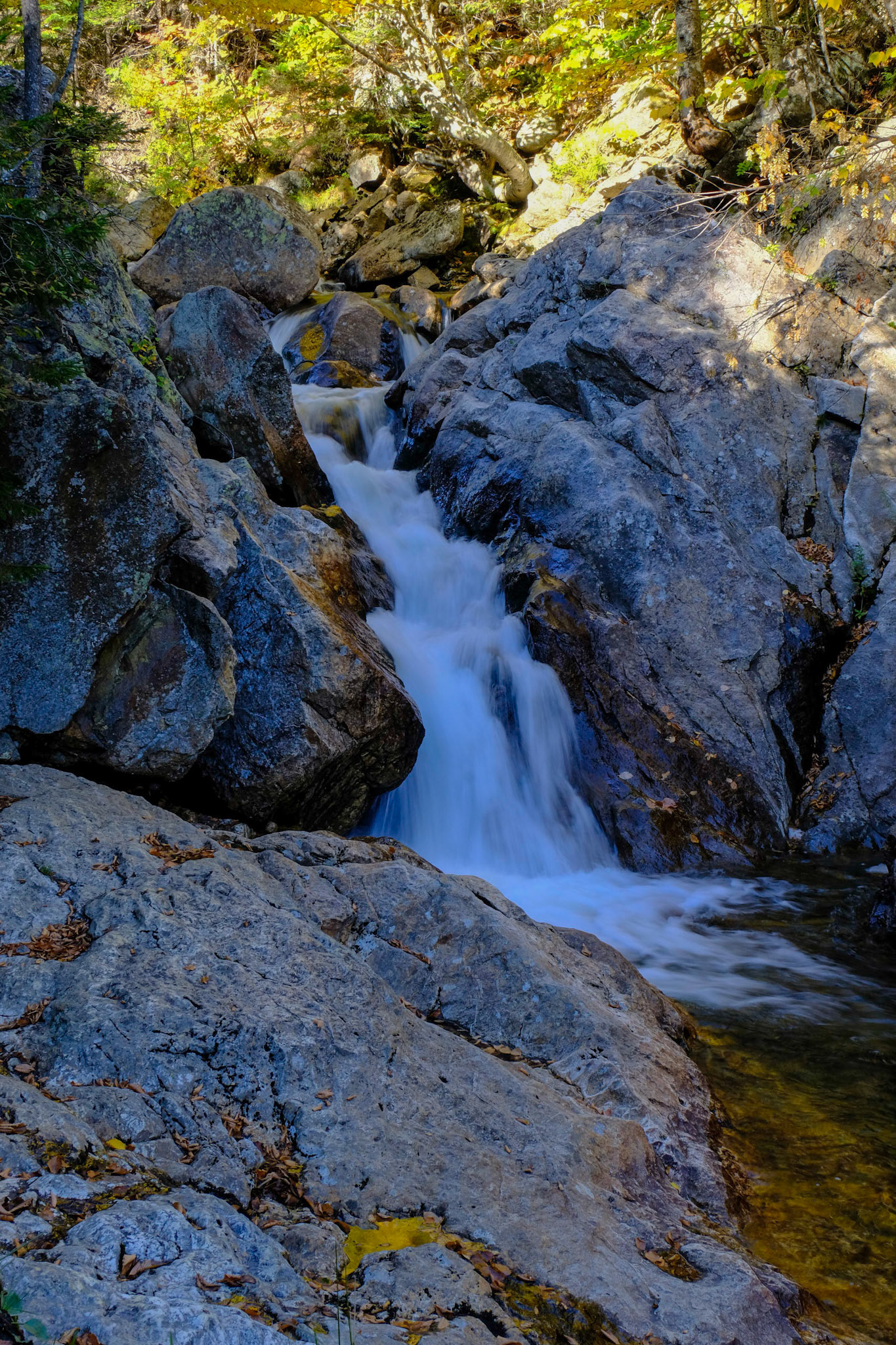 Glen Ellis Falls Hike
