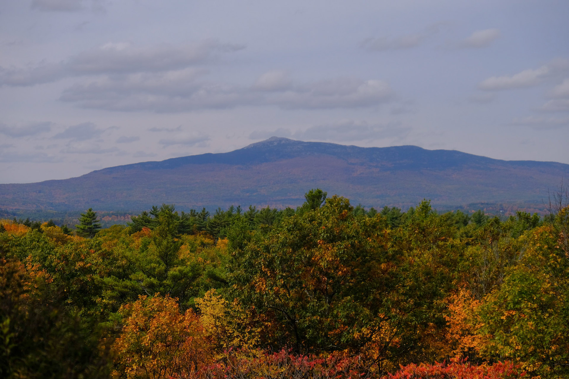 Cathedral of the Pines