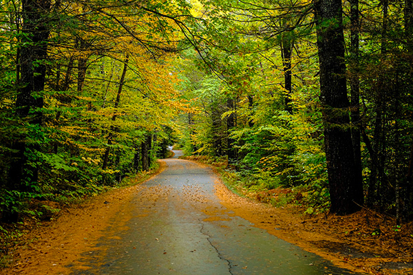 Karen Milligan - Mountains Of Western Maine