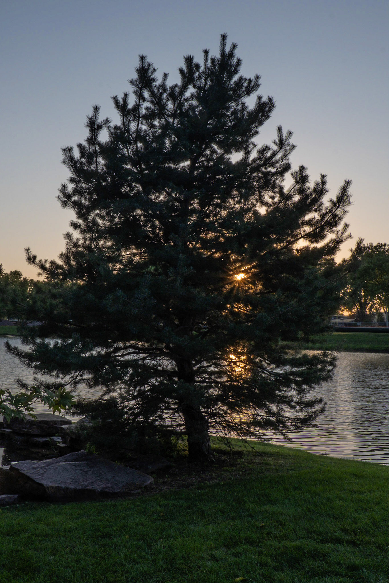 Japanese Garden Sioux Falls