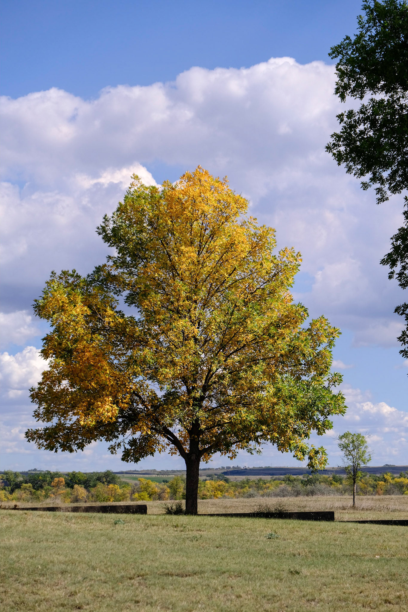 Knife River National Historic Site