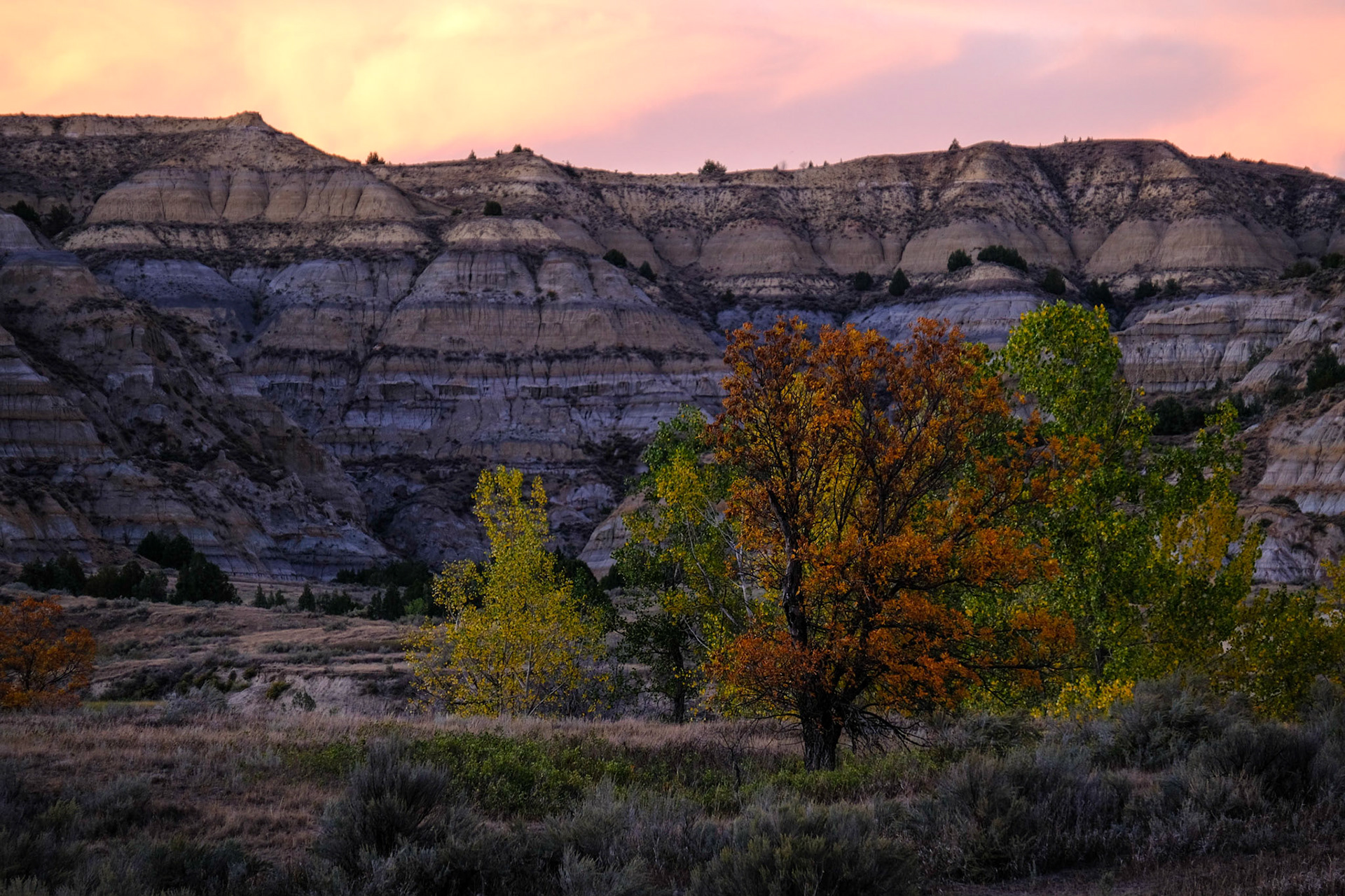 Sunset North Unit Theodore Roosevelt National Park