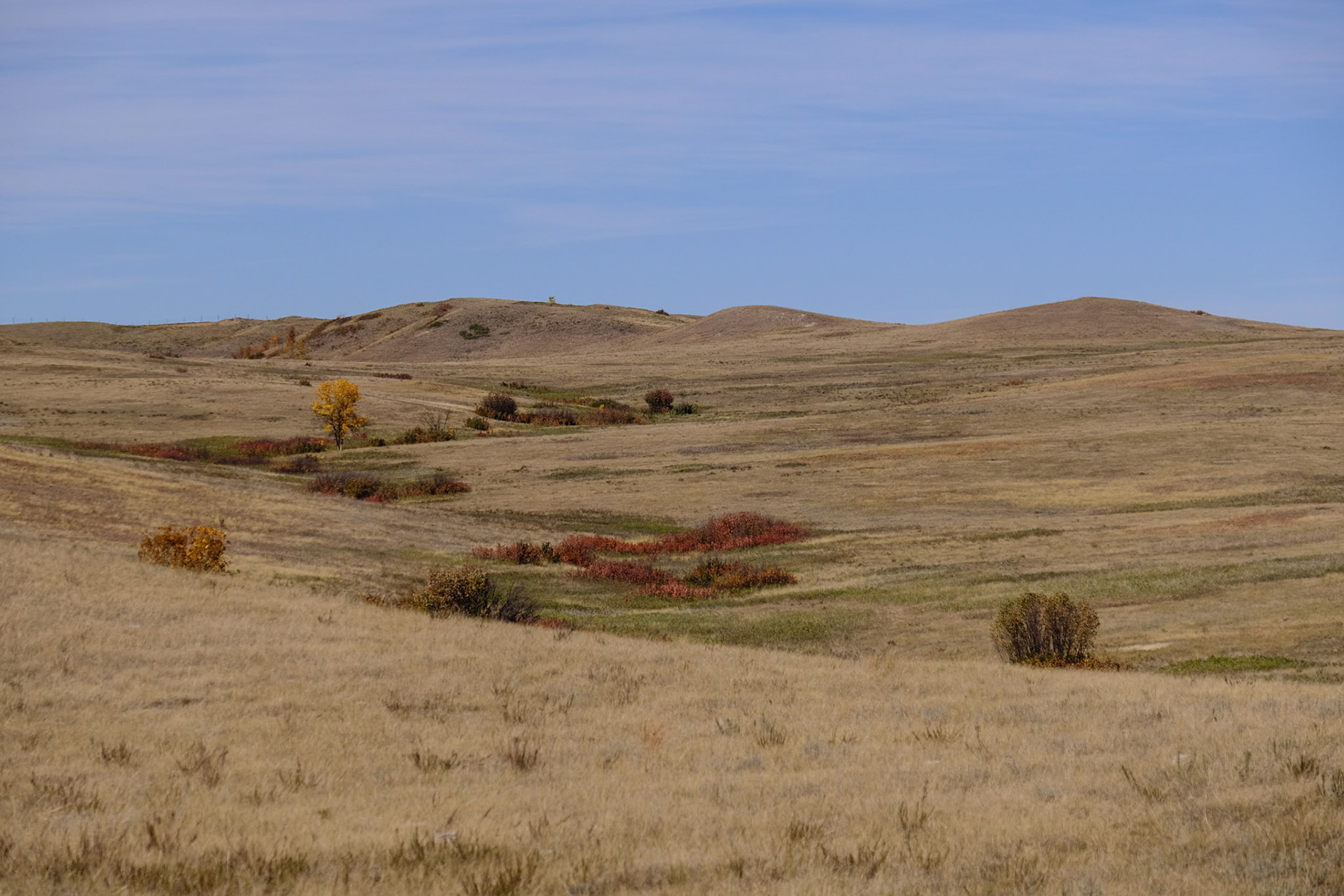 Theodore Roosevelt National Park North Unit
