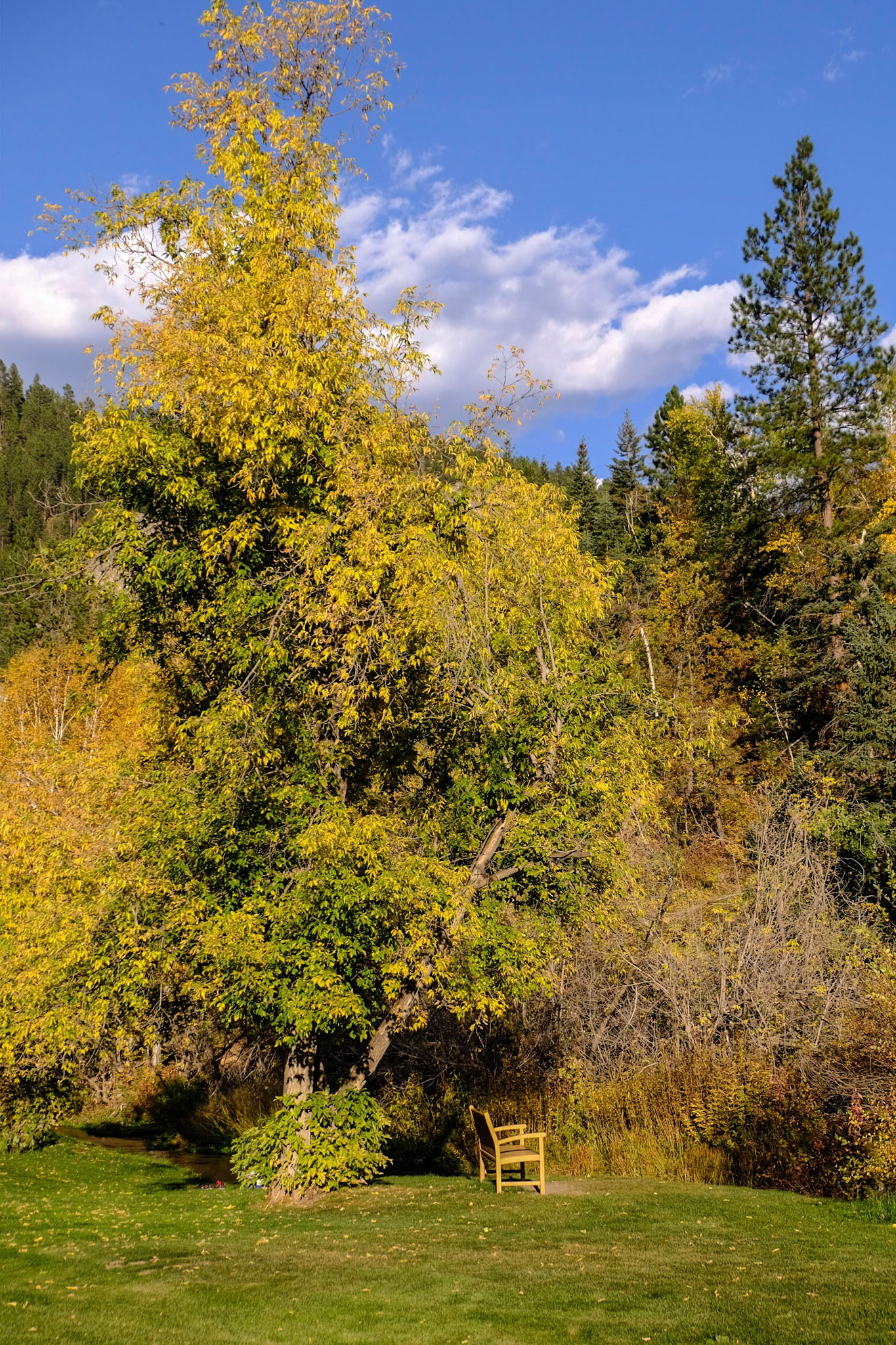 Spearfish Canyon Lodge
