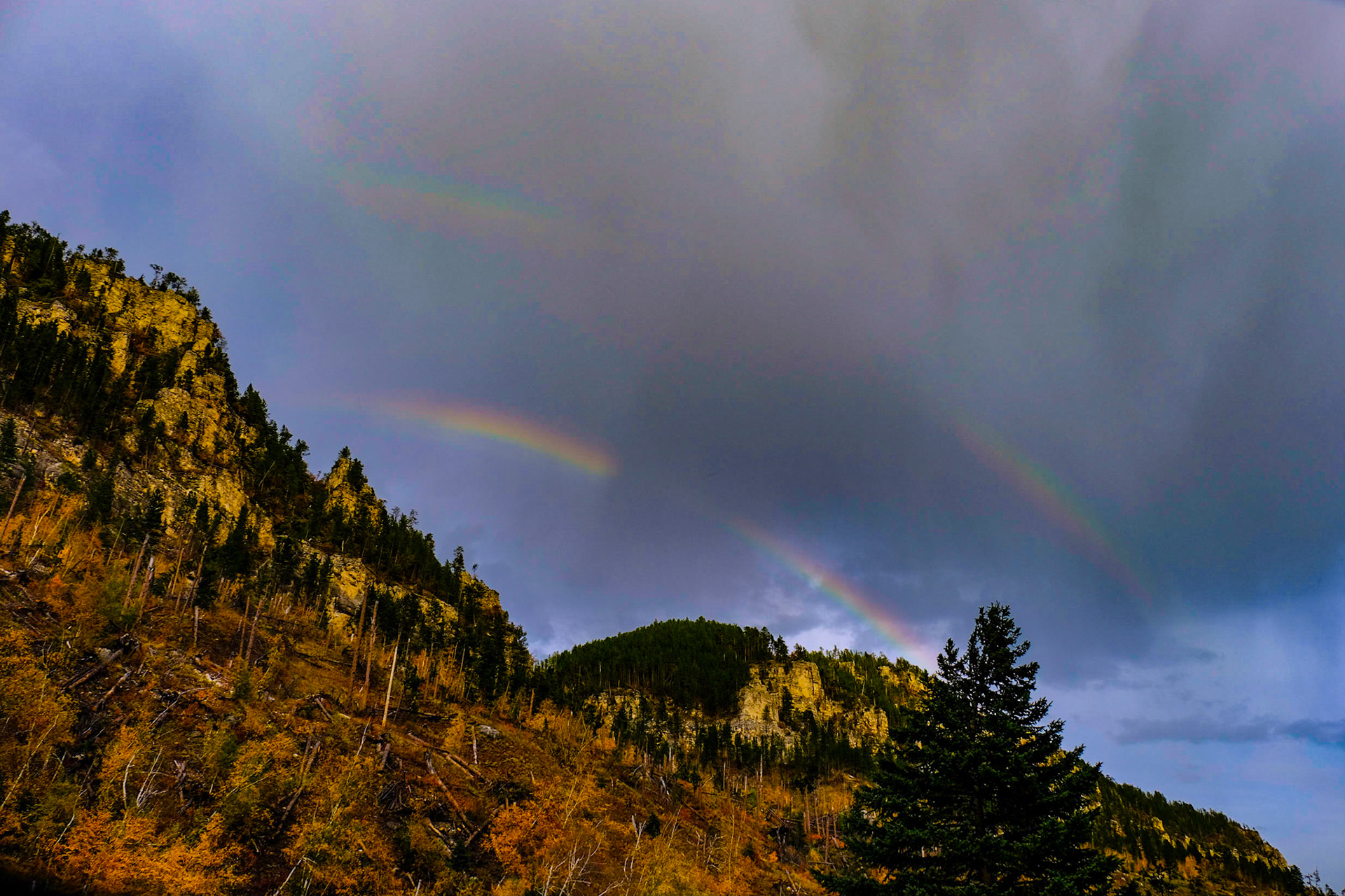 Spearfish Canyon Savoy Trail