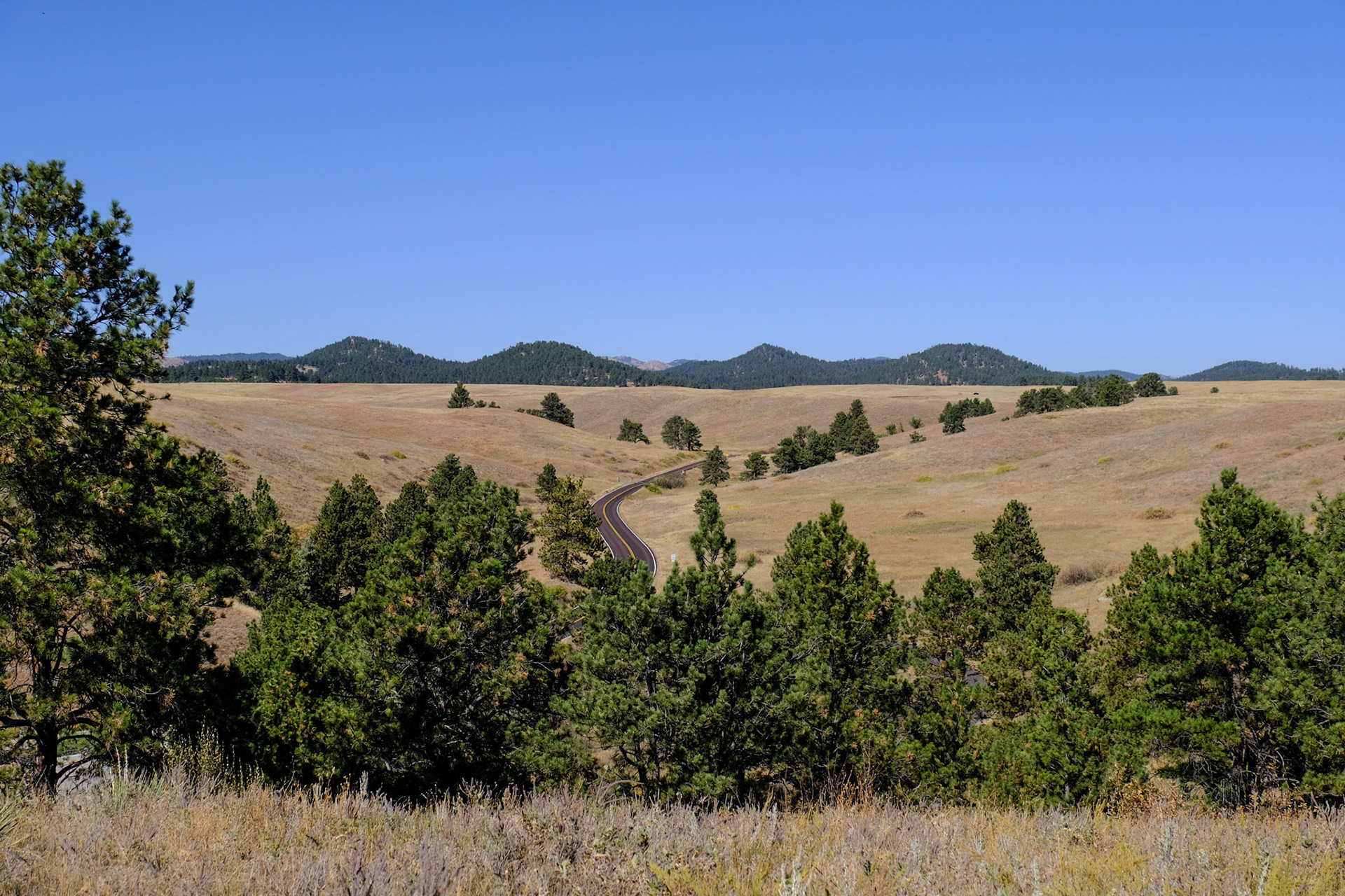 Wind Cave National Park