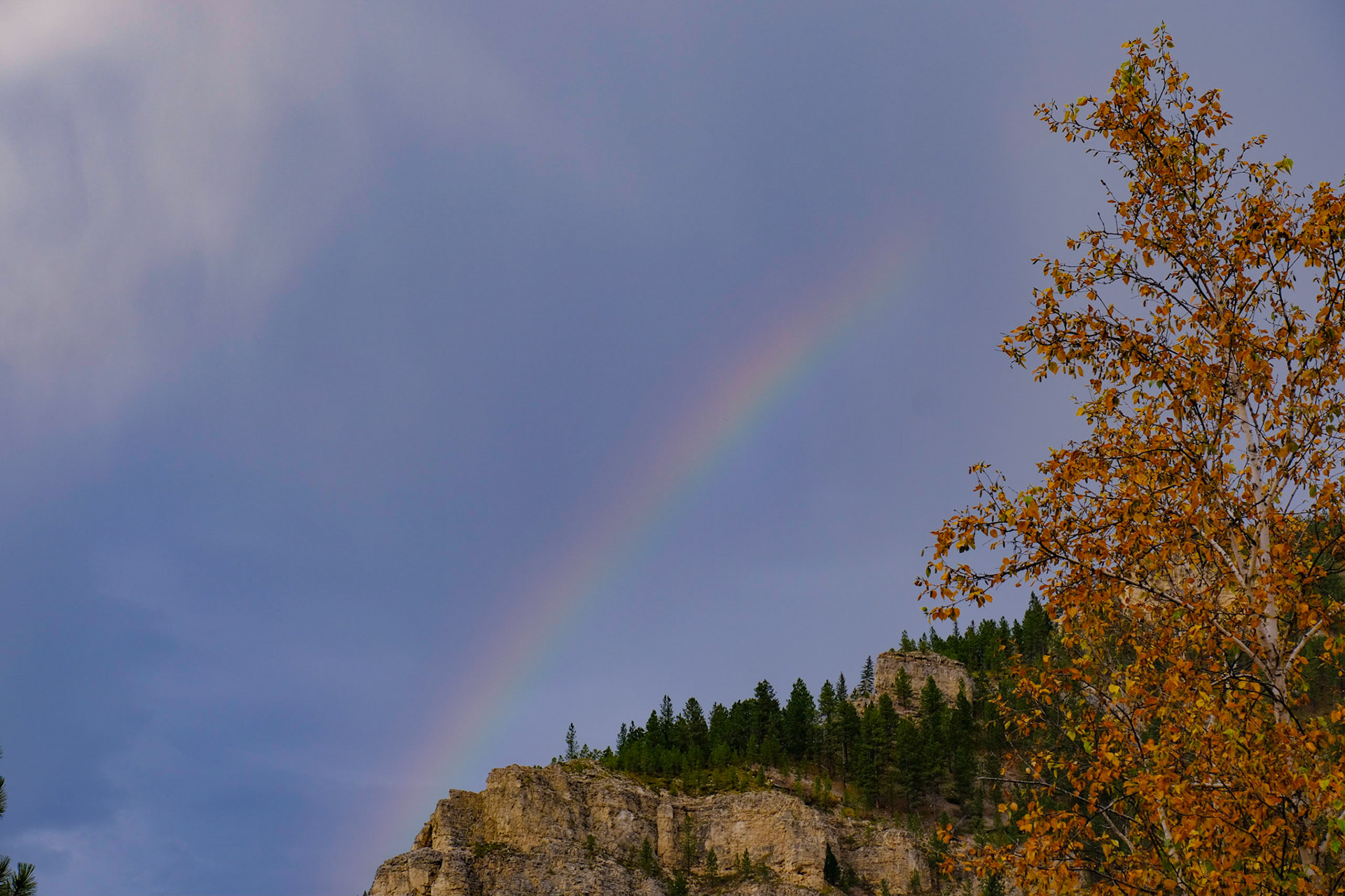 Spearfish Canyon Savoy Trail