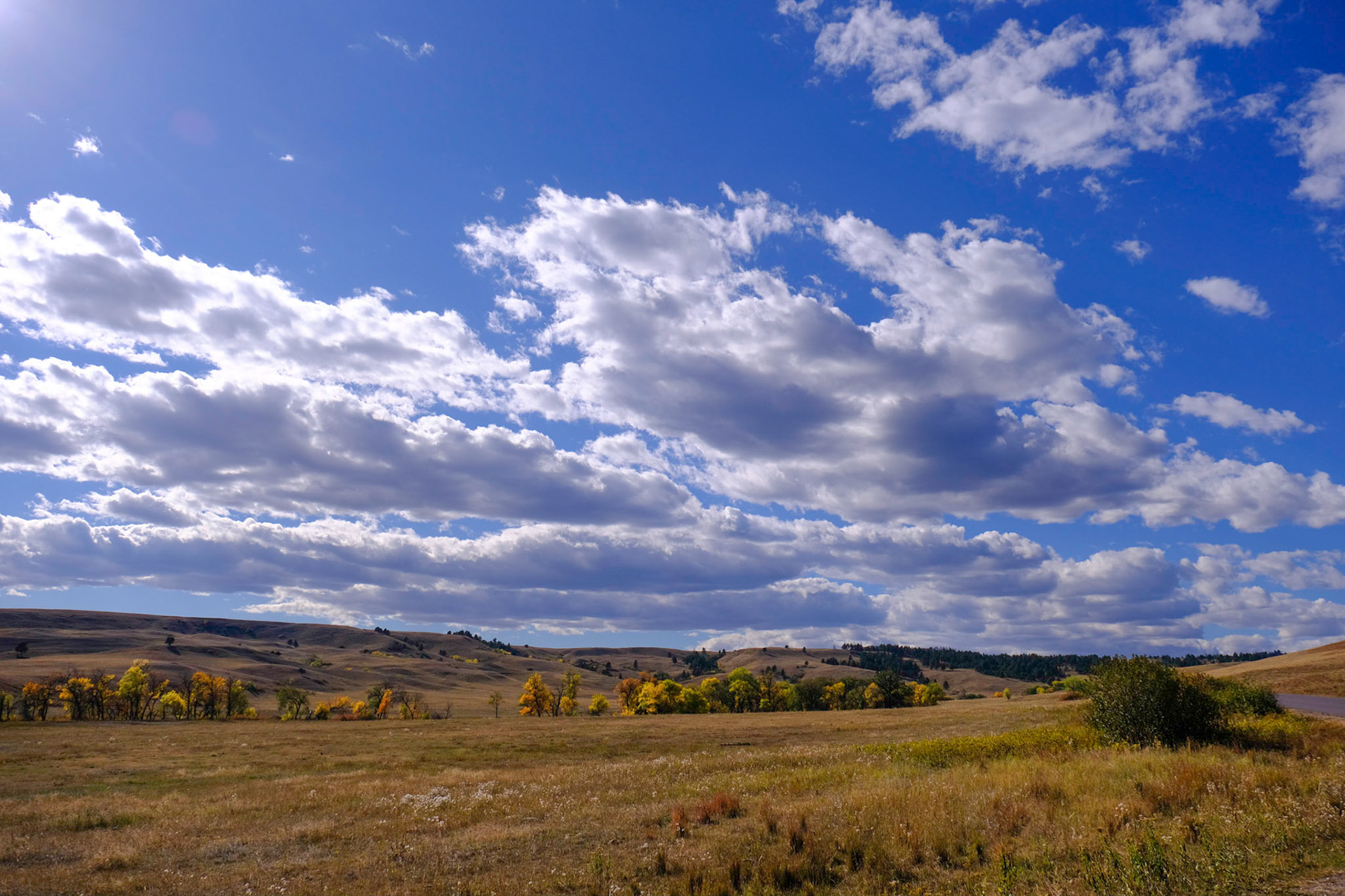 Custer State Park - Wildlife Loop