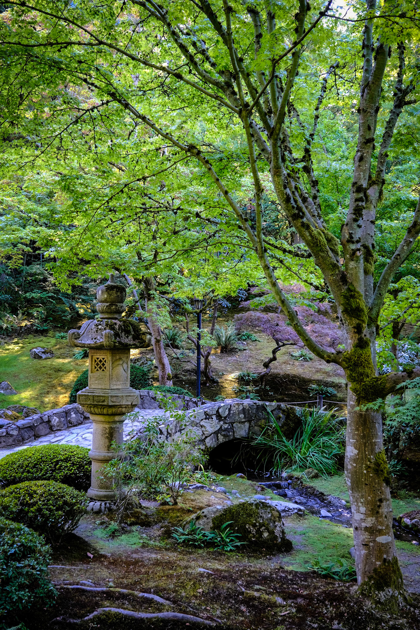 Japanese Gardens