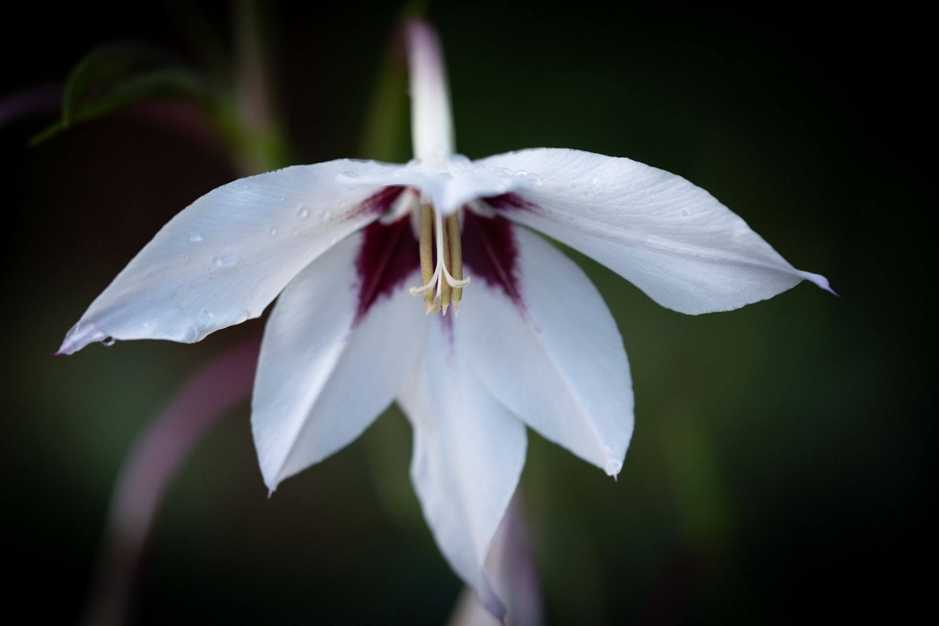 Coastal Maine Botanical Gardens