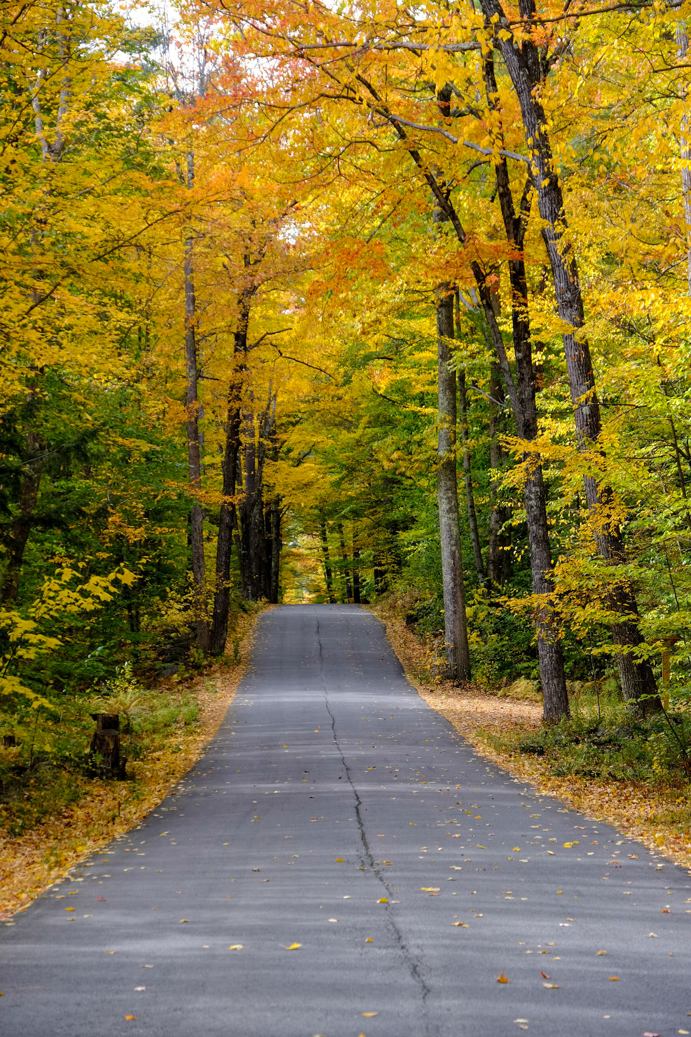 Monadnock State Park