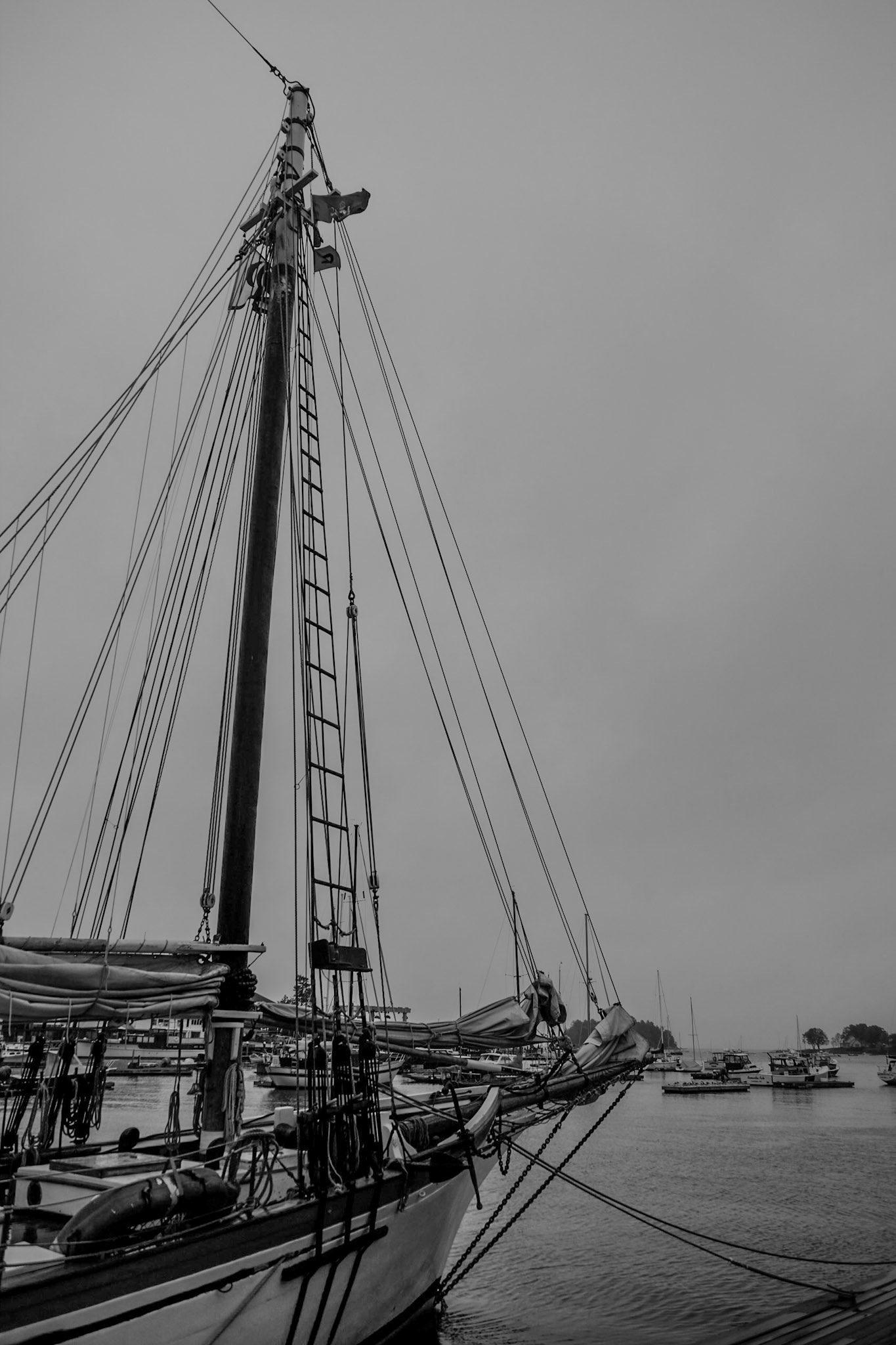 Camden Harbor