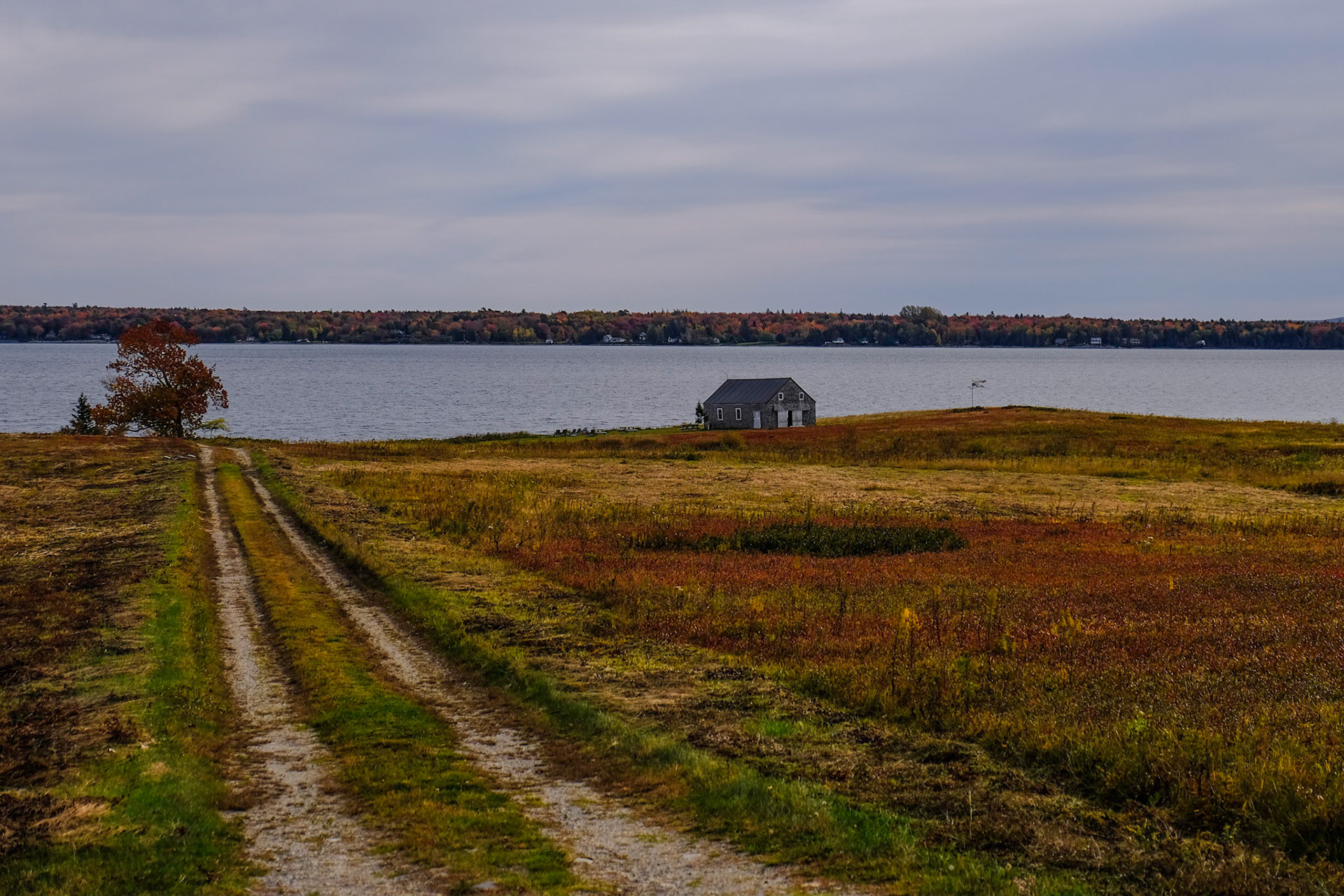Newbury Neck