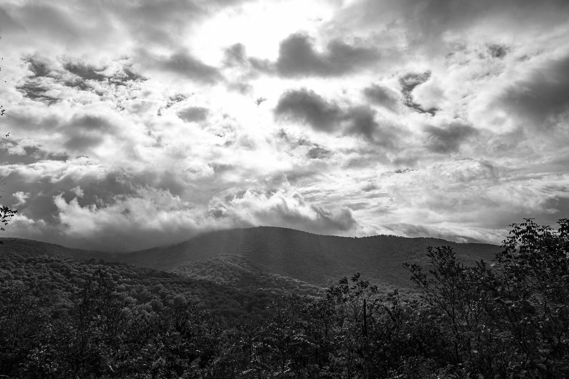 Gooney Manor Overlook