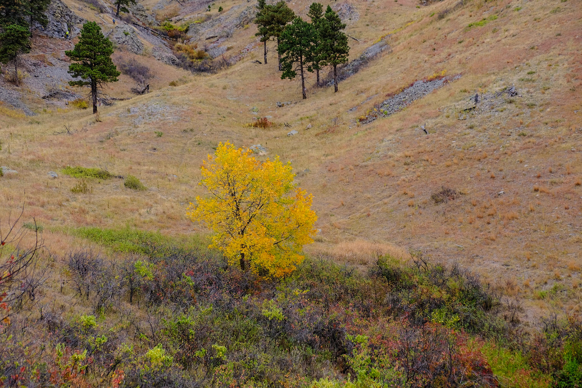 Bear Butte State Park South Dakota